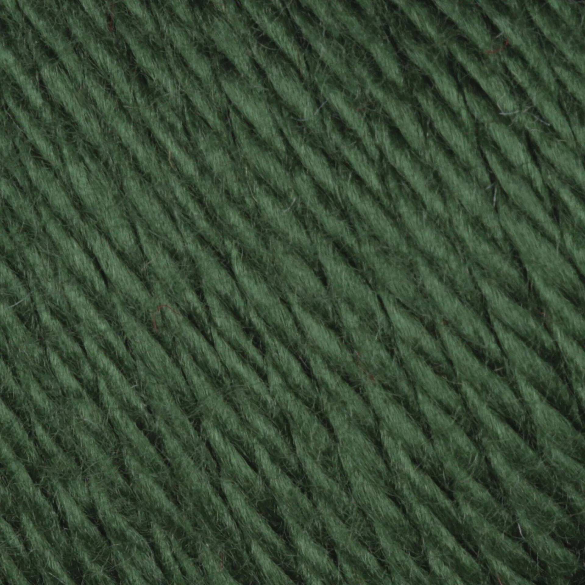 Caron Simply Soft Yarn - Dark Sage close up to show texture