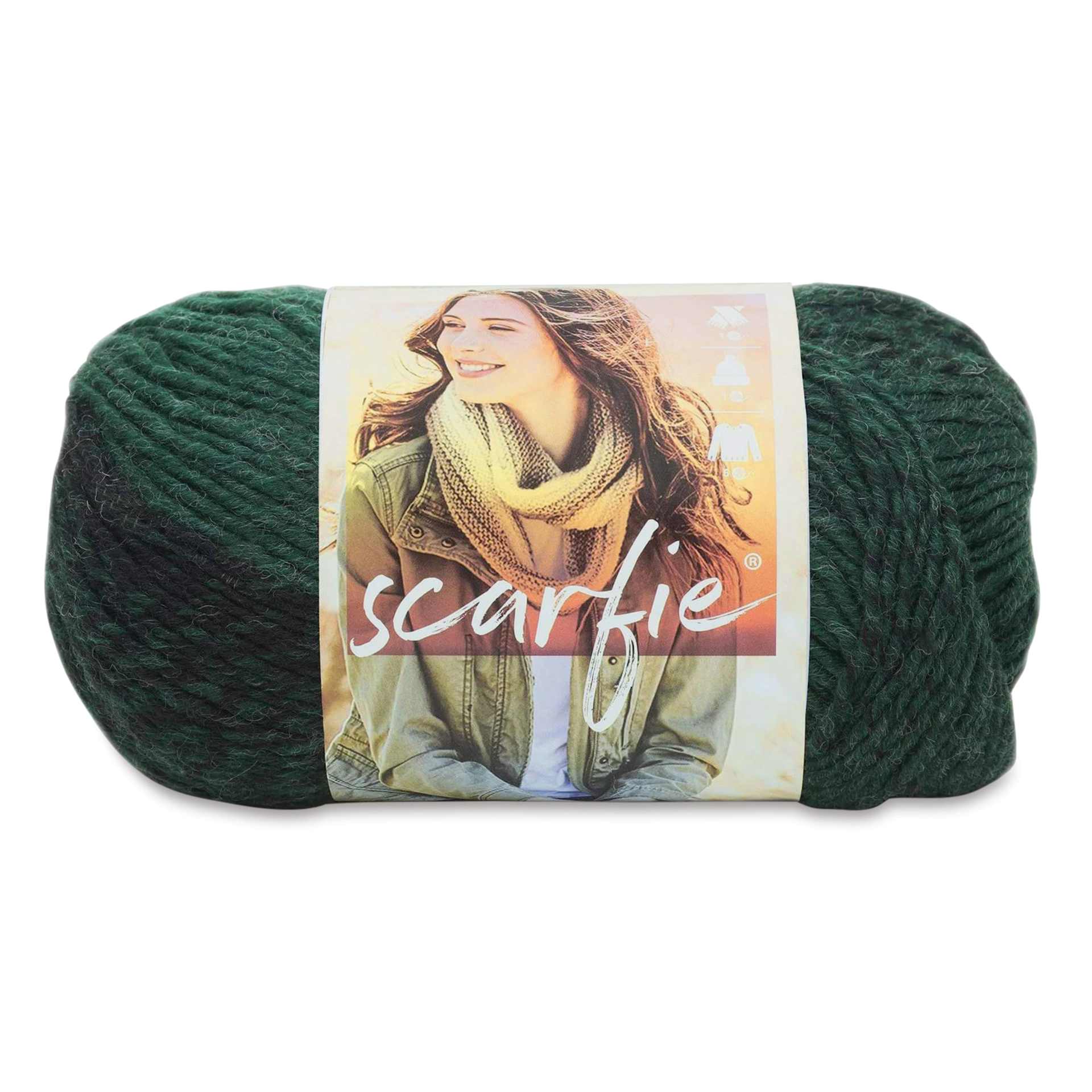 Lion Brand Scarfie Yarn - Black/Cream, 312 yds
