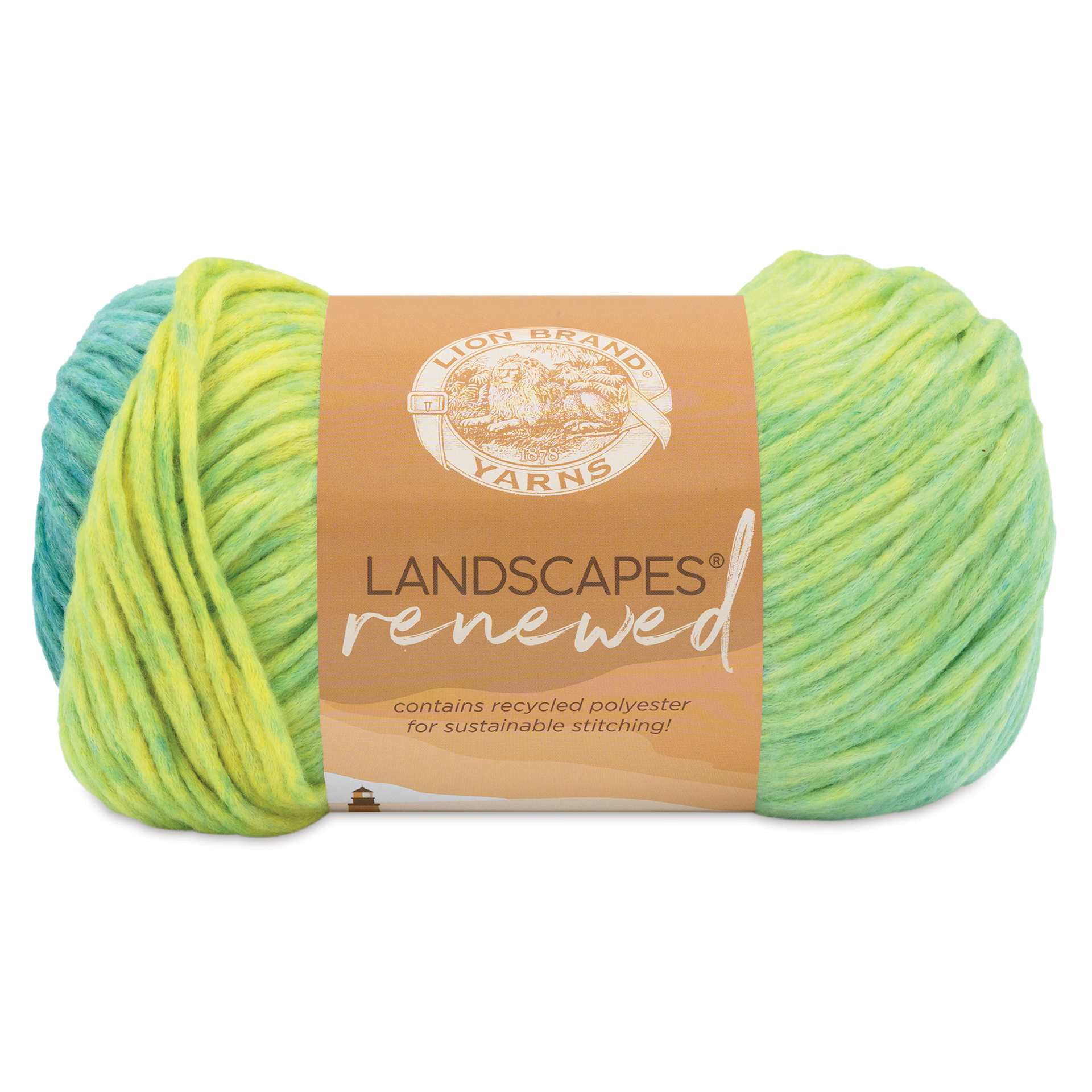 Lion Brand Landscapes Renewed Yarn - Dragonfly