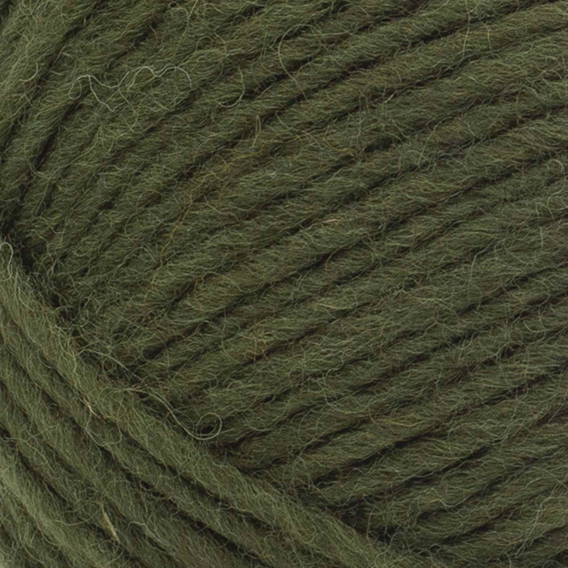 Lion Brand Wool-Ease Roving Origins Yarn - Olive, 299 yds - close-up