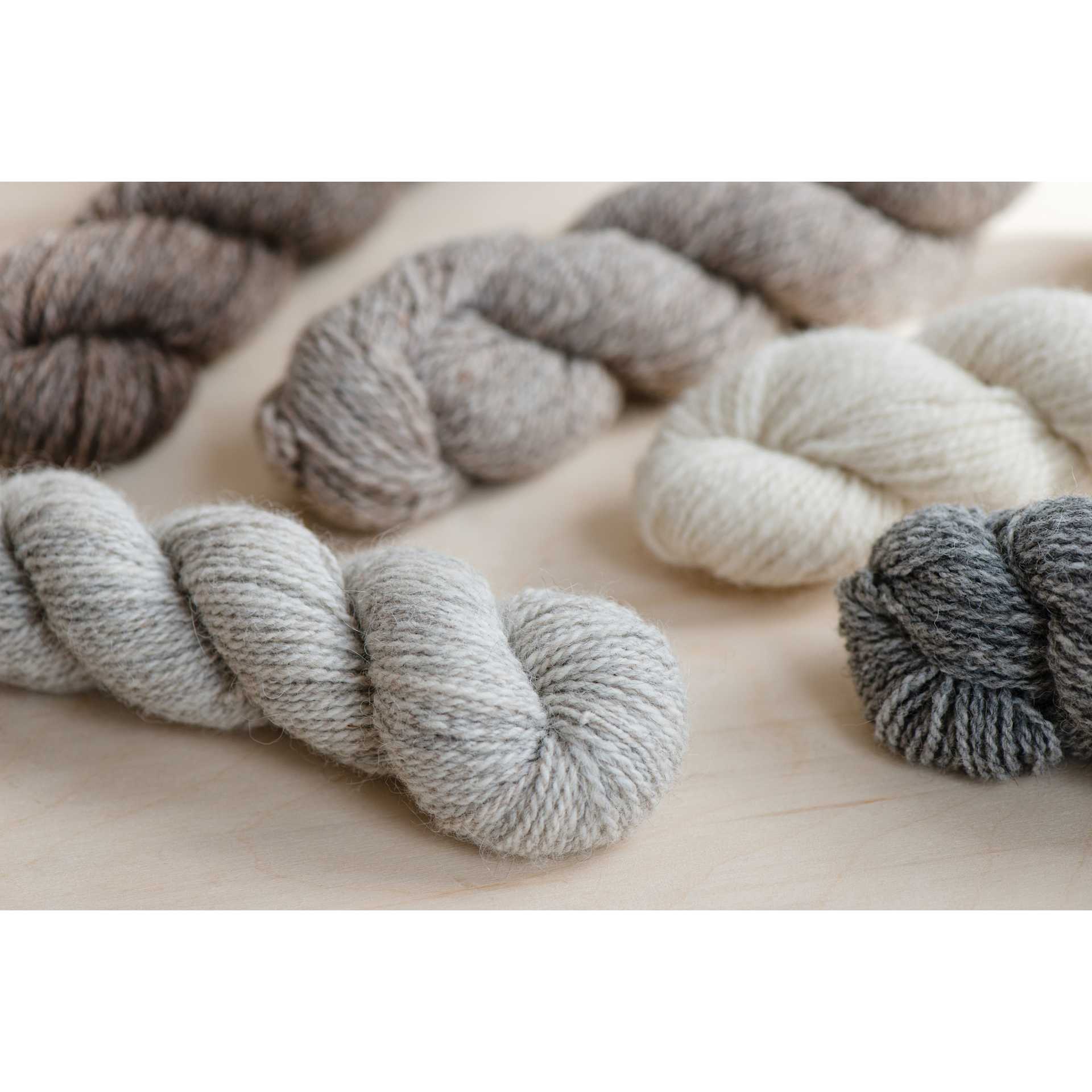 Quince & Co Owl Yarn - close-up of assorted colors