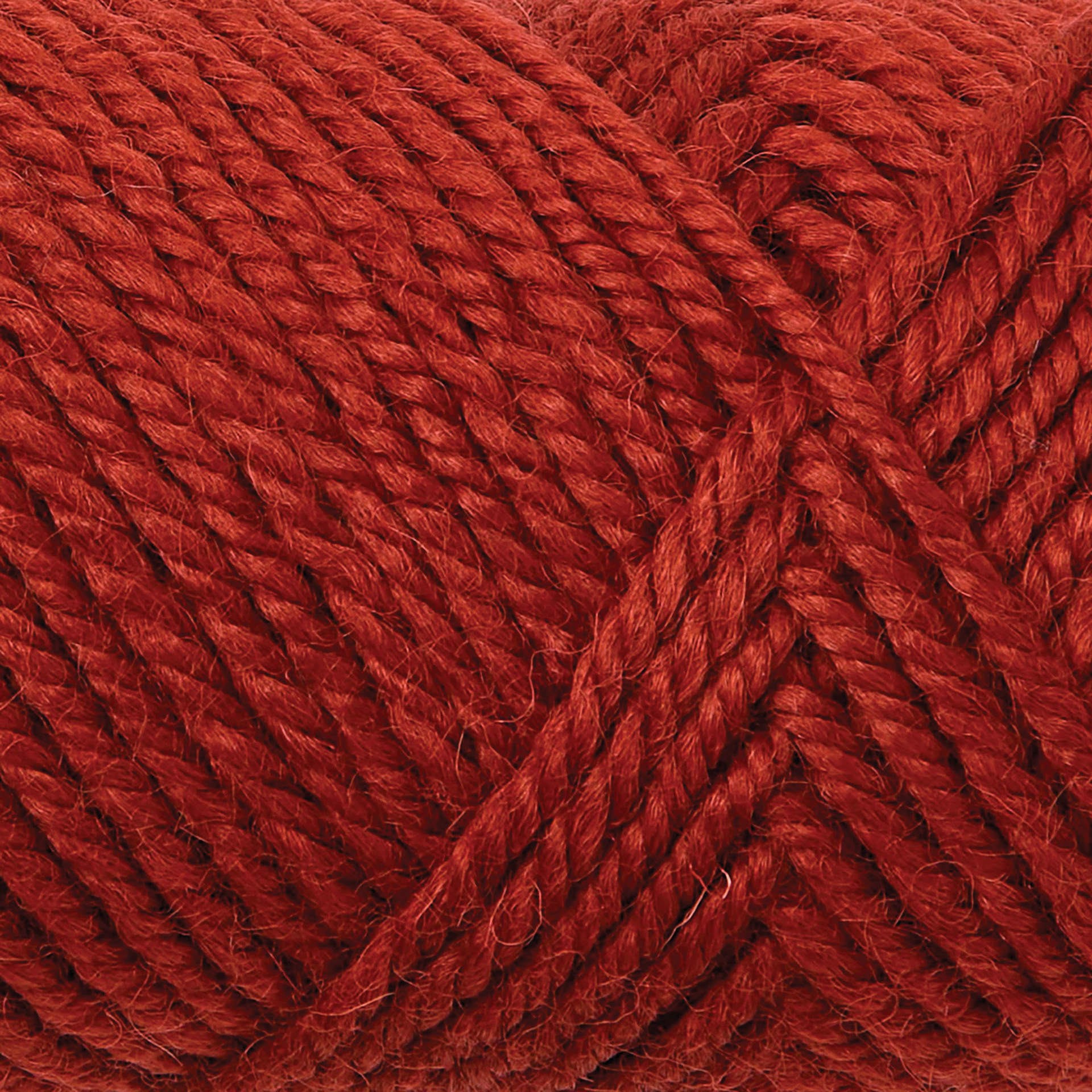 Gist Yarn Dwella Rug Wool Yarn - Paprika, 4 oz close up to show texture