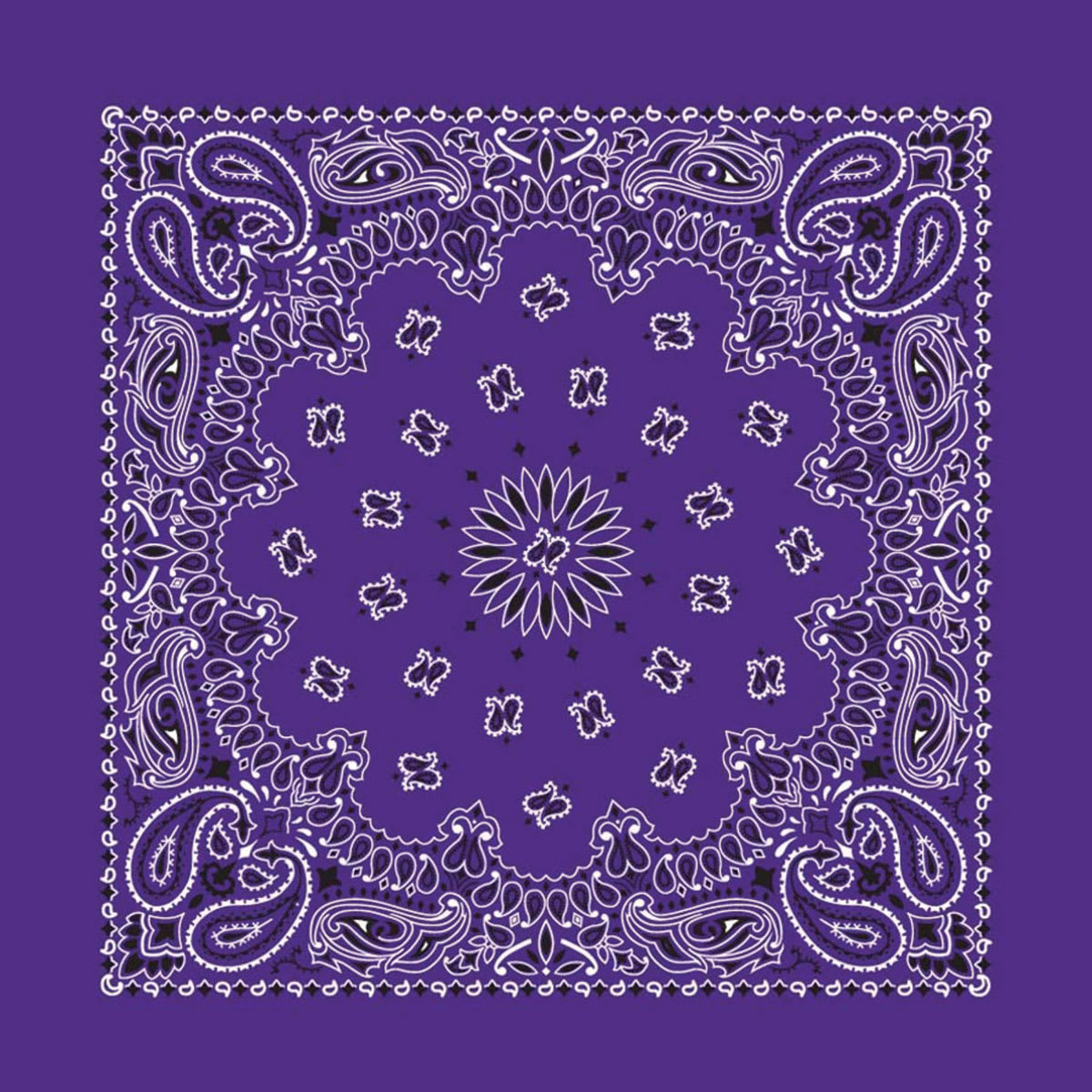 Hav-A-Hank Paisley Bandana - Purple, 22" W x 22" L