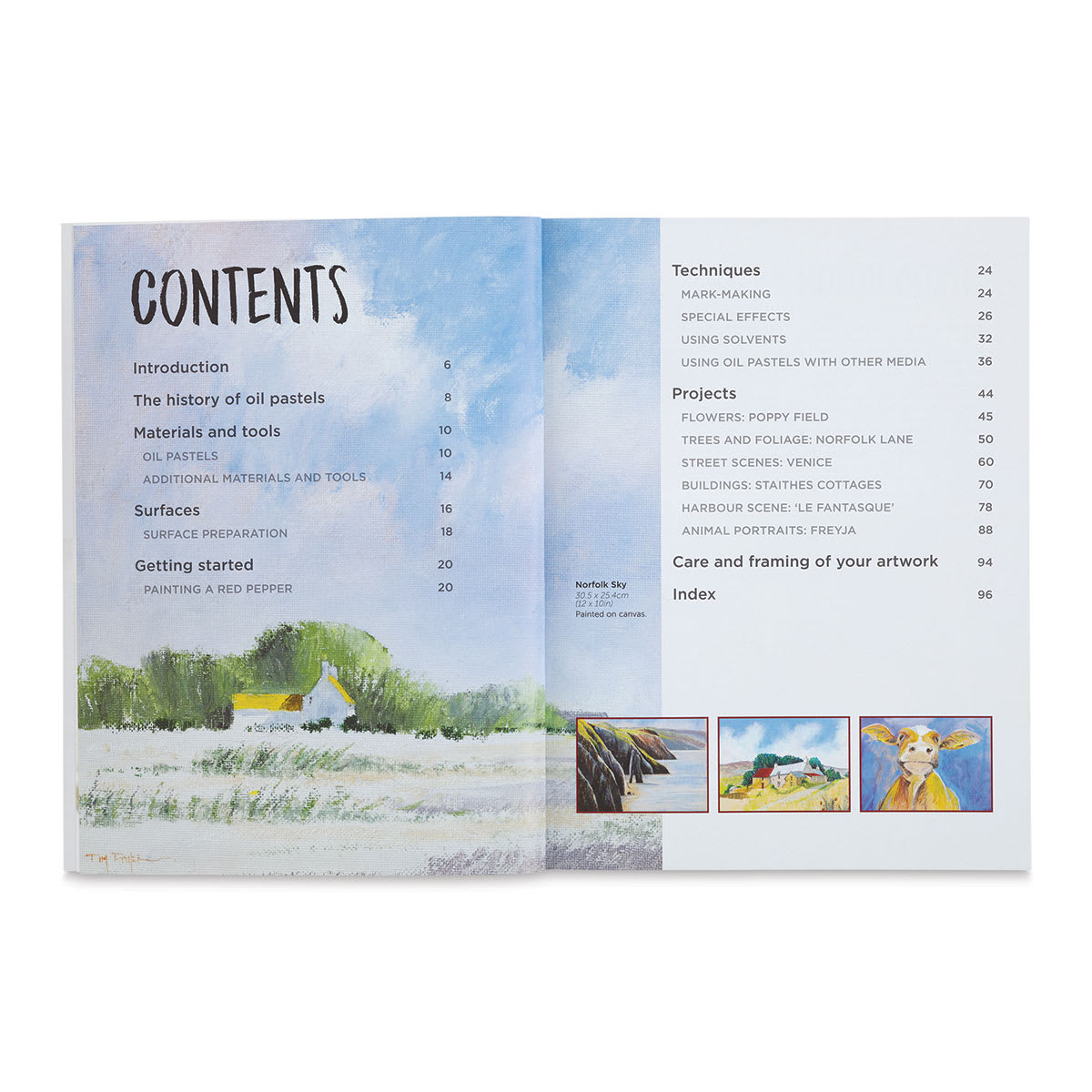 Beginner's Guide to Painting with Oil Pastels, Contents