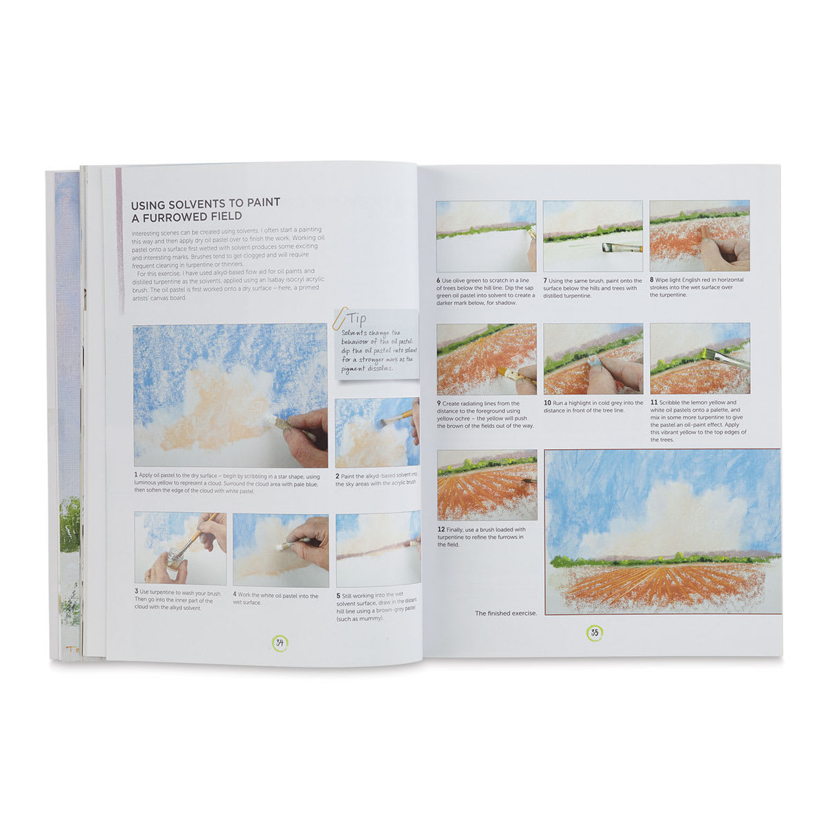 Beginner's Guide to Painting with Oil Pastels, Page in Book