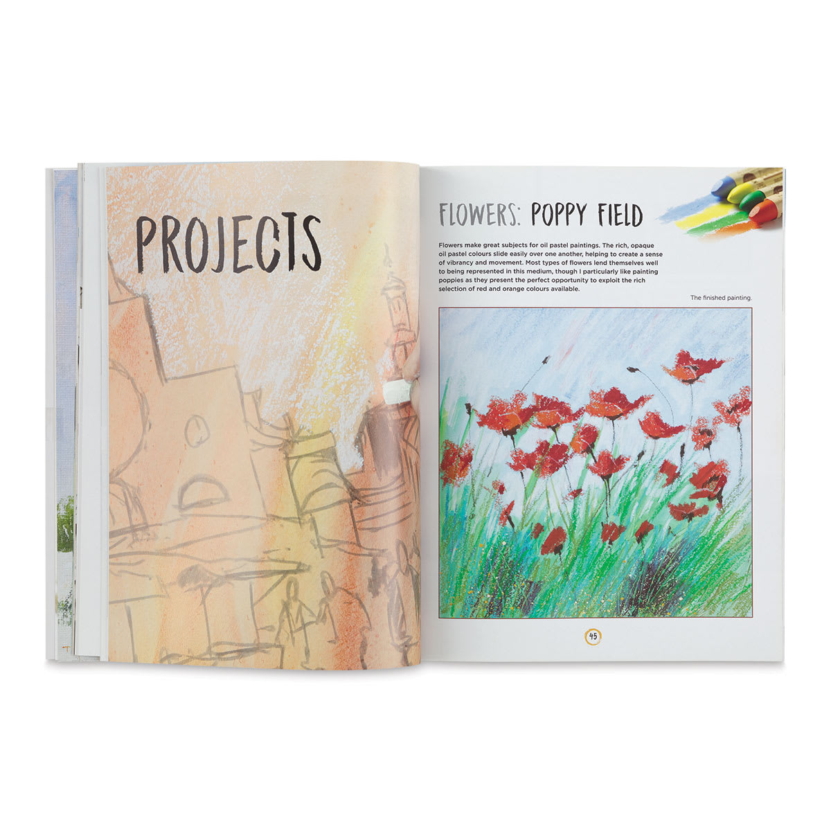 Beginner's Guide to Painting with Oil Pastels, Projects