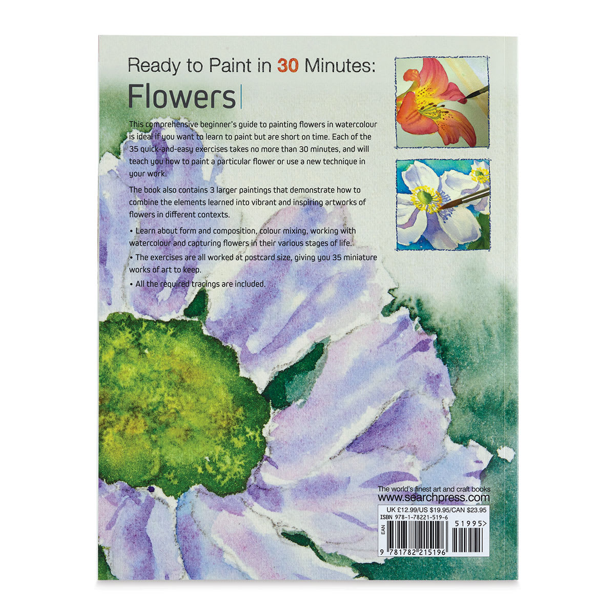 Ready to Paint in 30 Minutes: Flowers in Watercolour, Back Cover