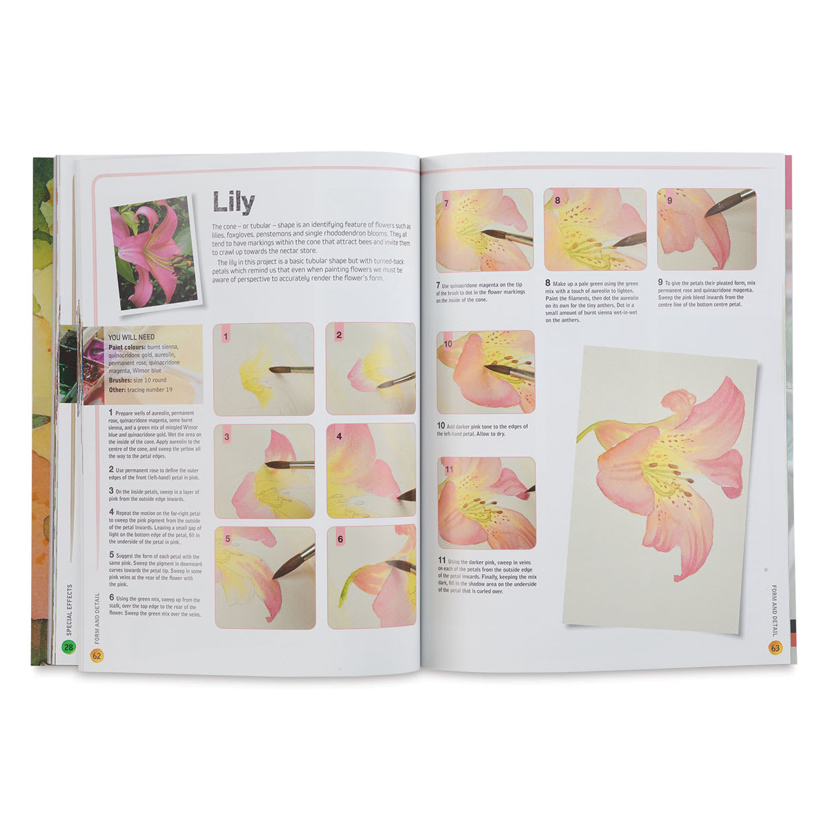 Ready to Paint in 30 Minutes: Flowers in Watercolour, Lily Page