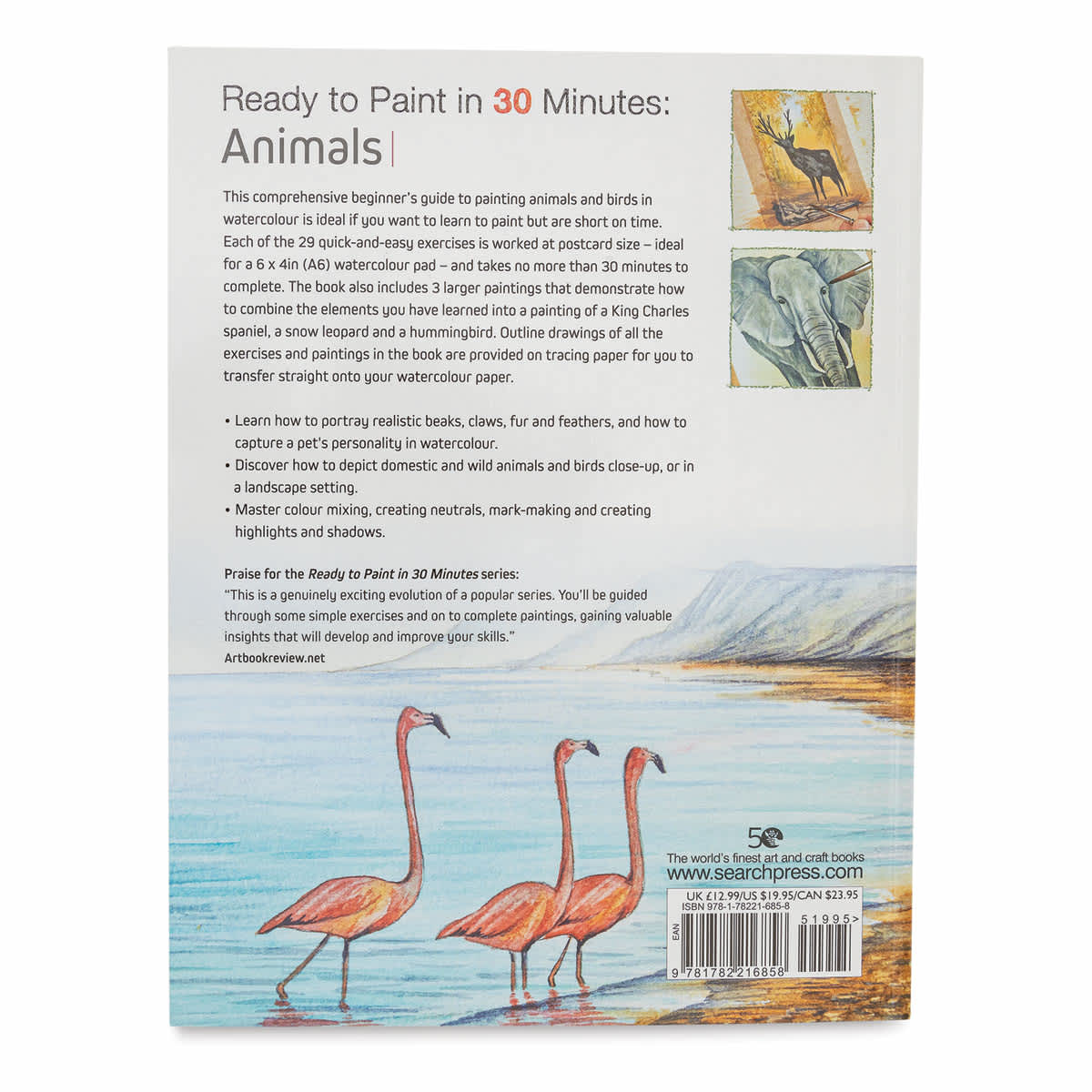 Ready to Paint in 30 Minutes: Animals (Back Cover)