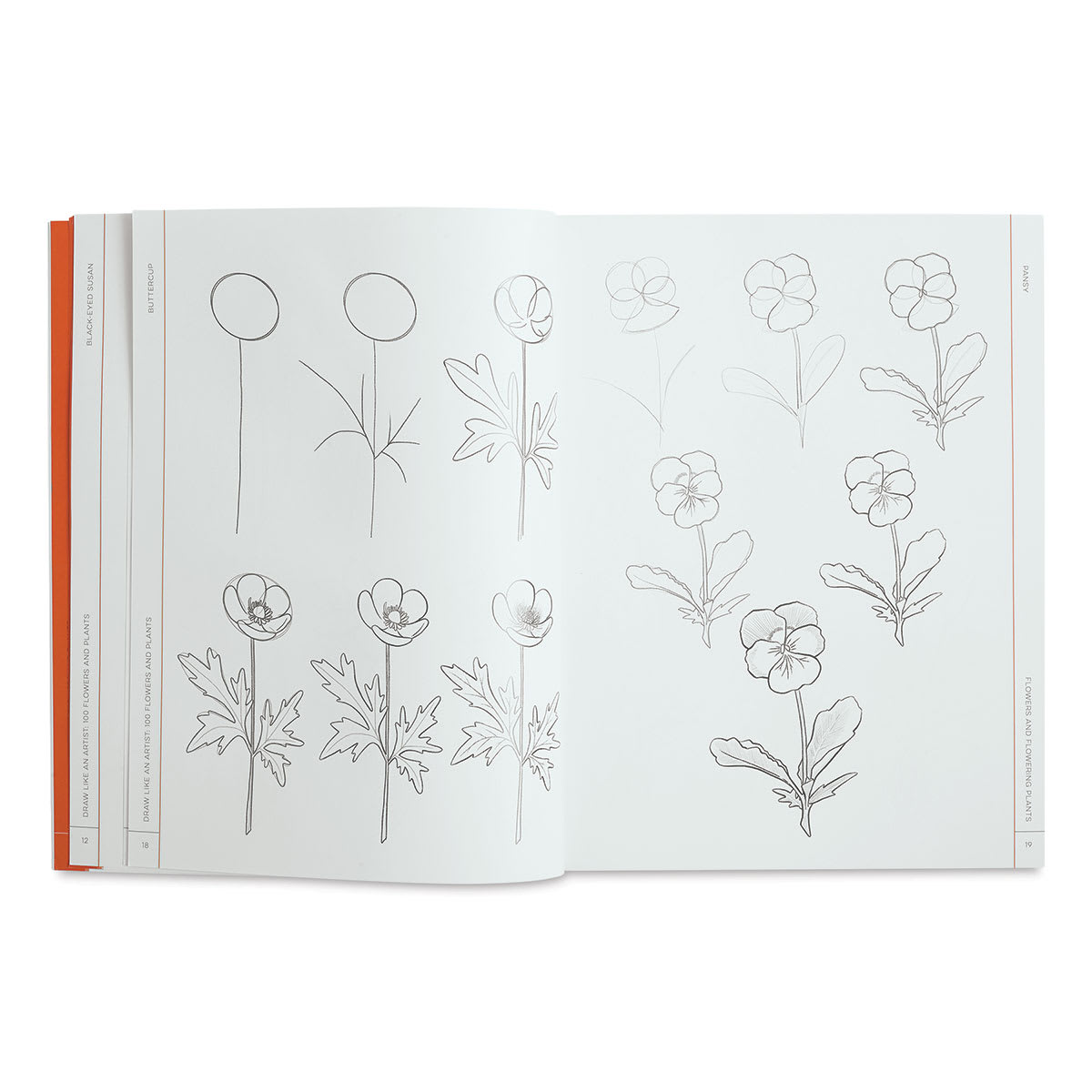 100 Flowers and Plants - Inside spread of Buttercups and Pansies