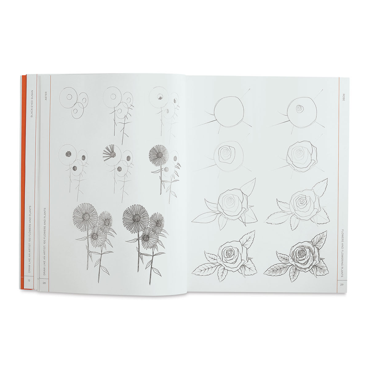 100 Flowers and Plants - Inside spread of Asters and Roses