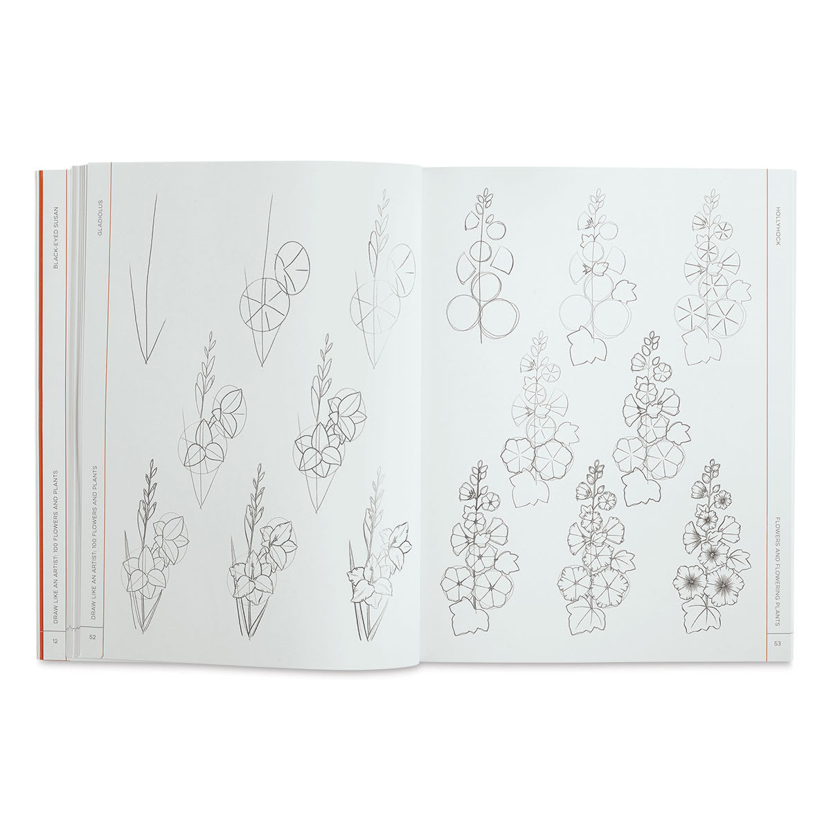 100 Flowers and Plants - Inside spread of Gladioli and Hollyhocks