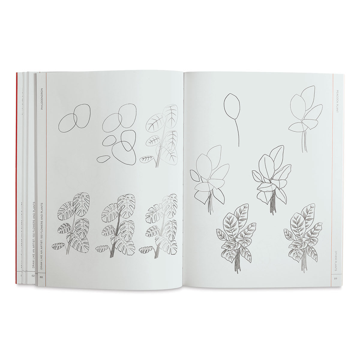 100 Flowers and Plants - Inside spread on drawing various Greenery