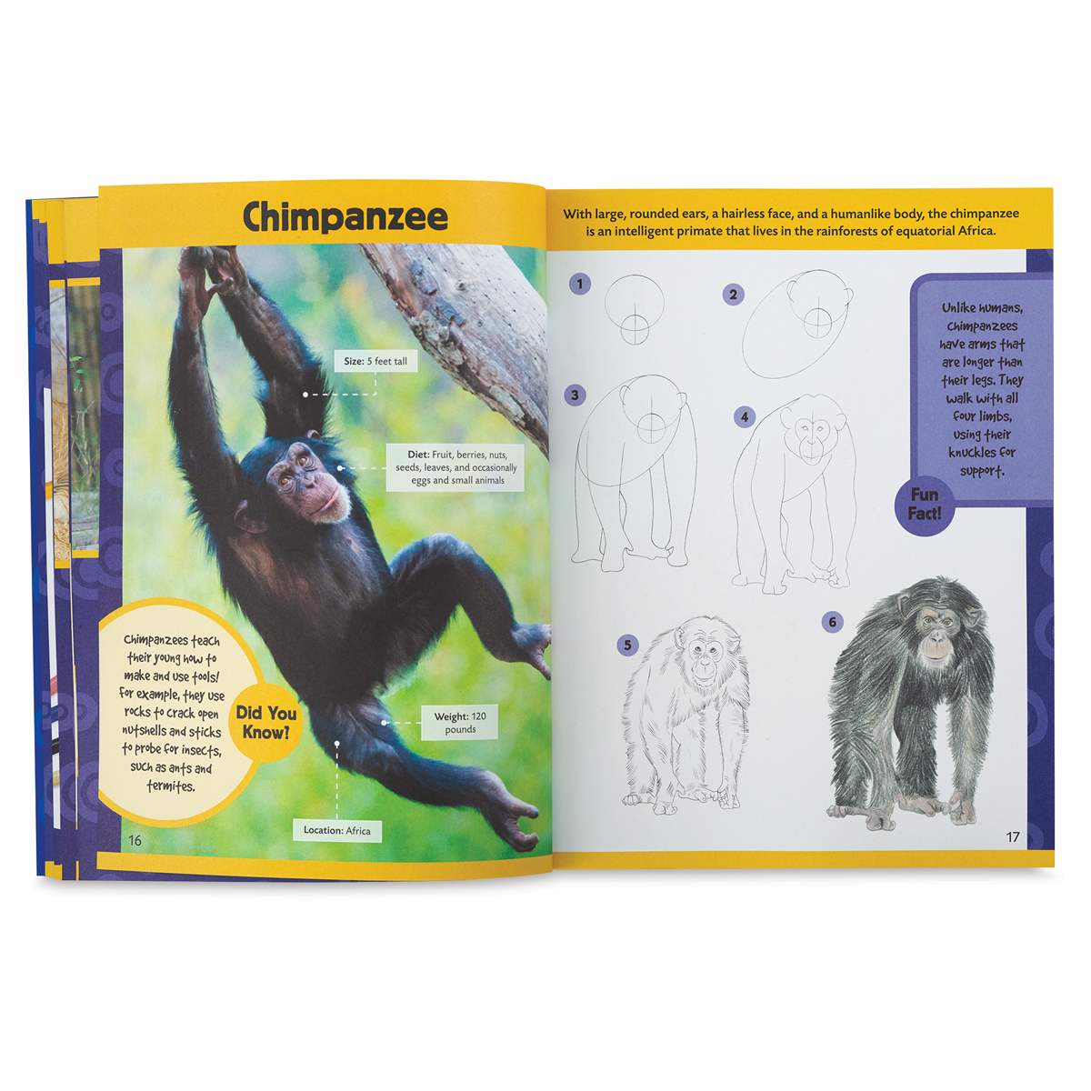 Learn to Draw Zoo Animals