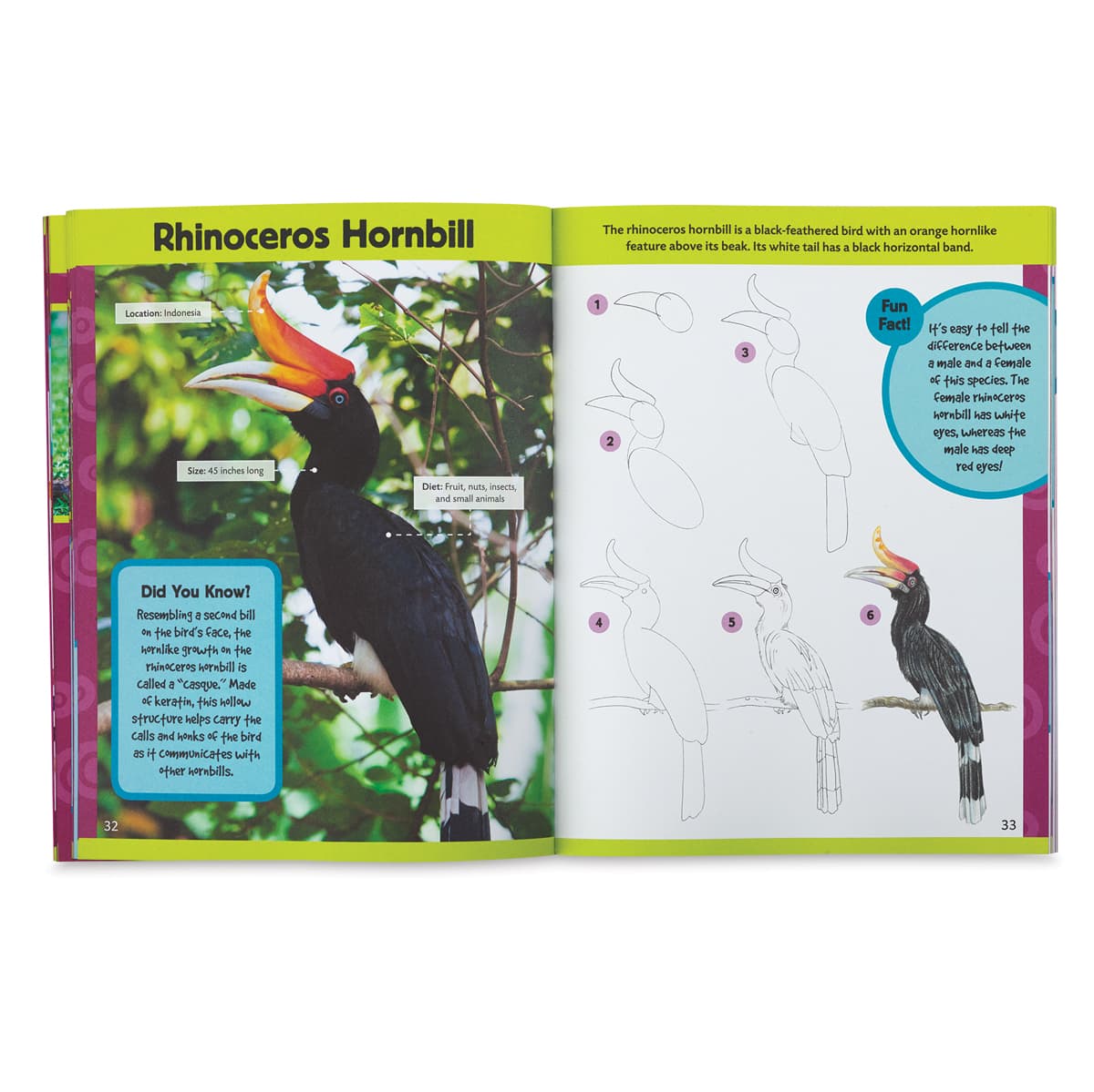 Learn to Draw Exotic Animals