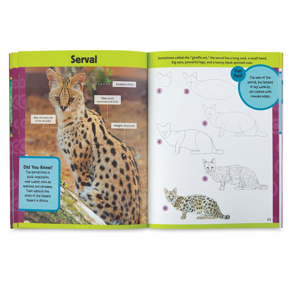 Learn to Draw Exotic Animals