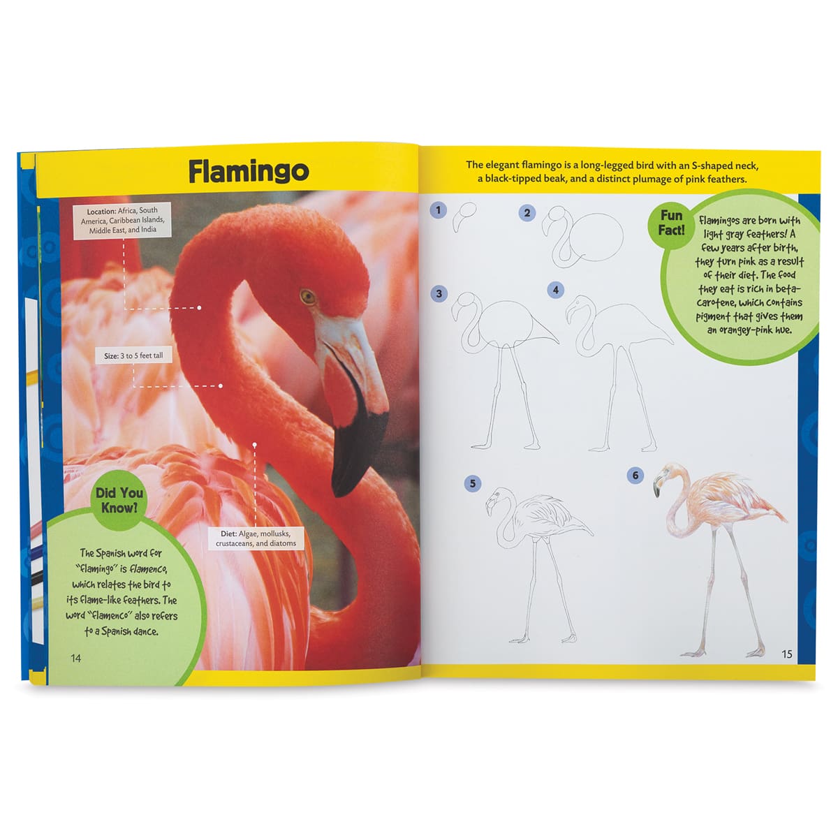 Learn to Draw Birds and Butterflies - Spread showing how to draw a flamingo