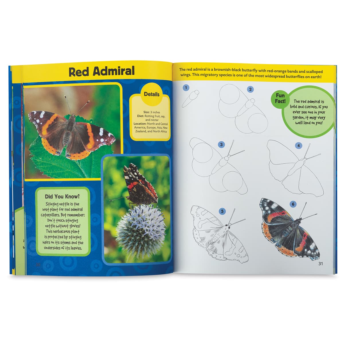 Learn to Draw Birds and Butterflies - Spread showing how to draw a butterfly