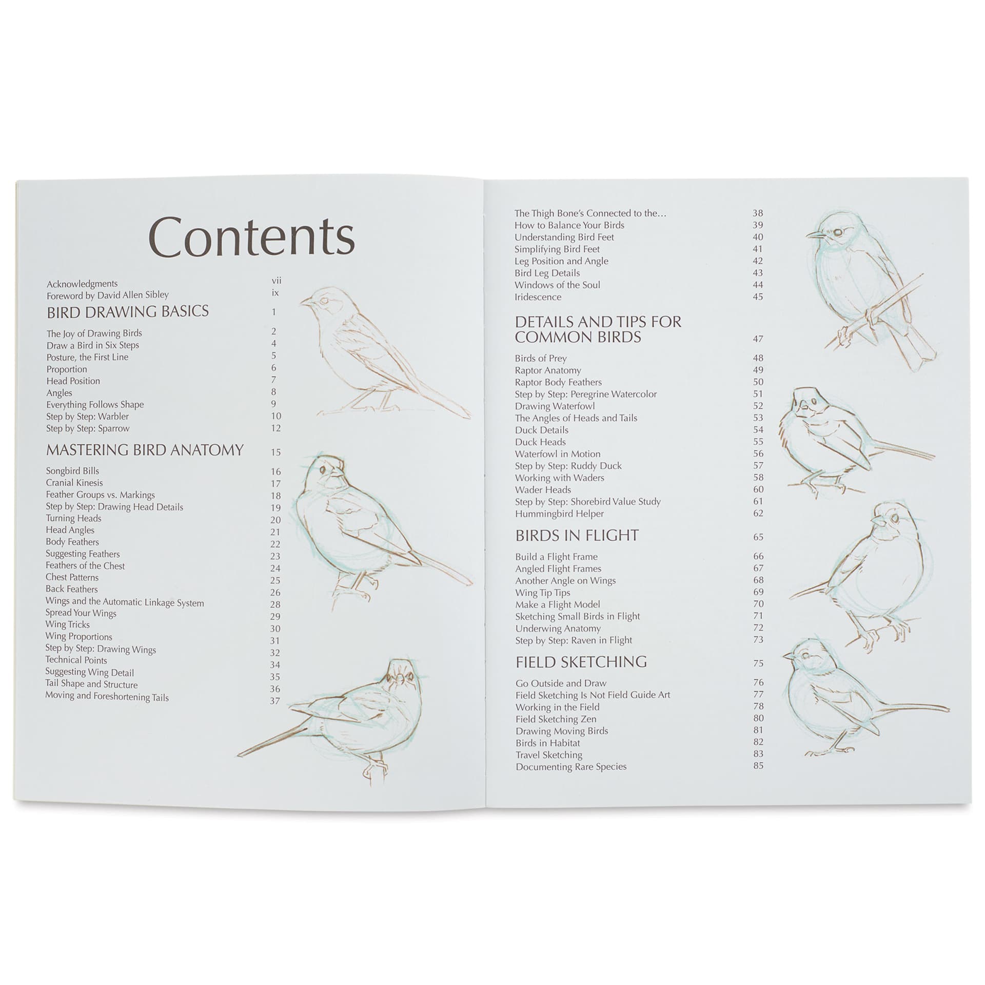 The Laws Guide to Drawing Birds, table of contents