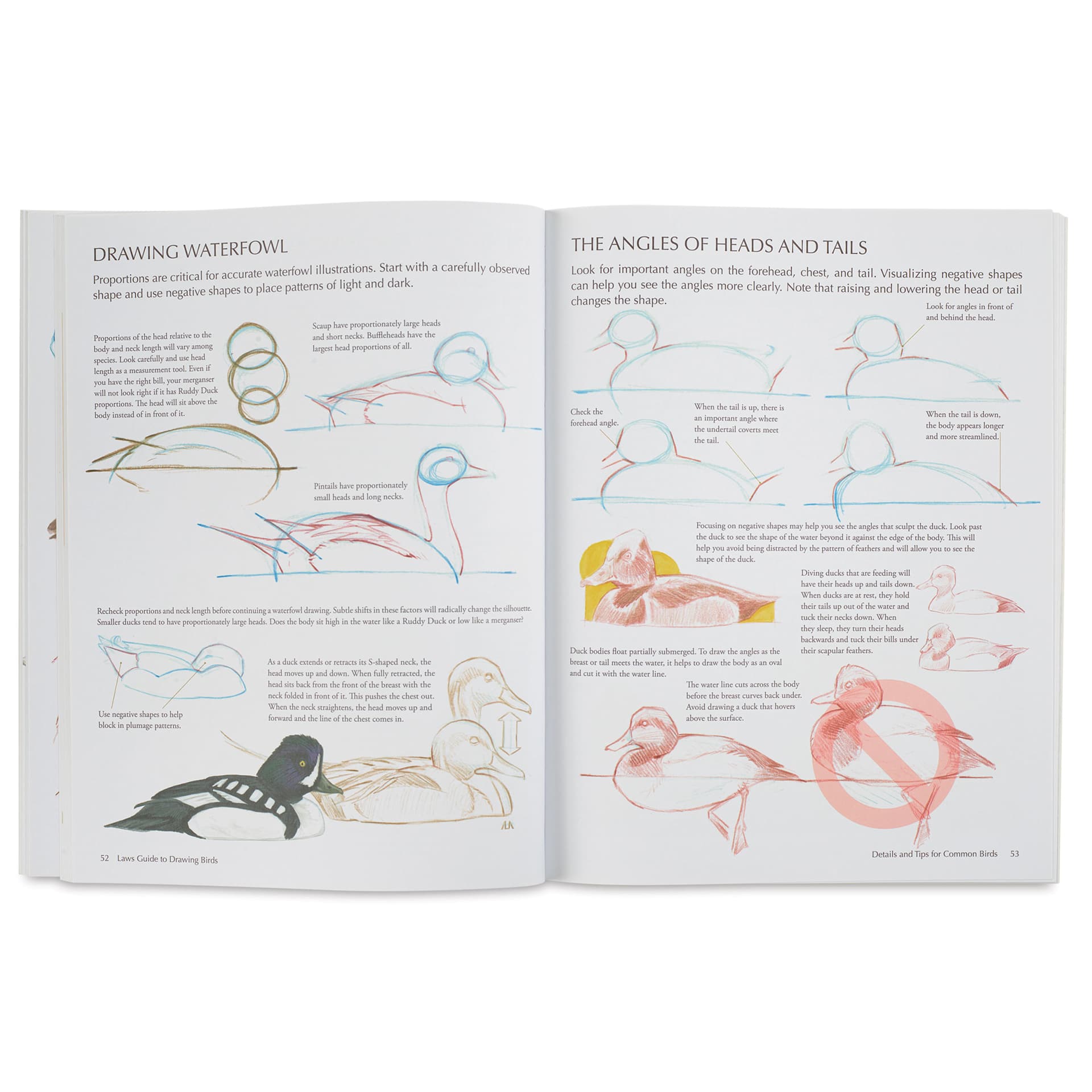 The Laws Guide to Drawing Birds, drawing waterfowl