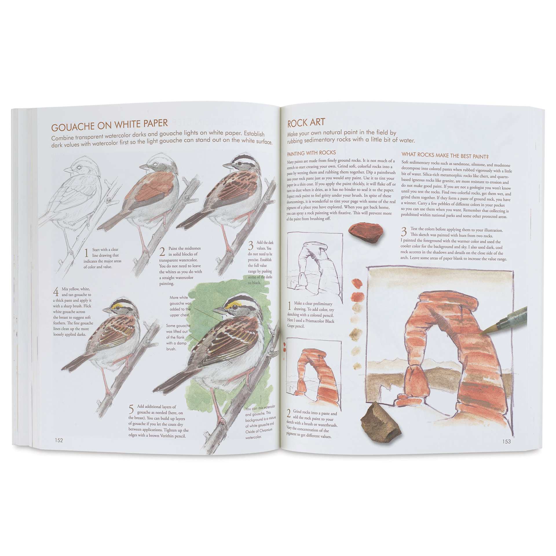 The Laws Guide to Nature Drawing and Journaling, rock art