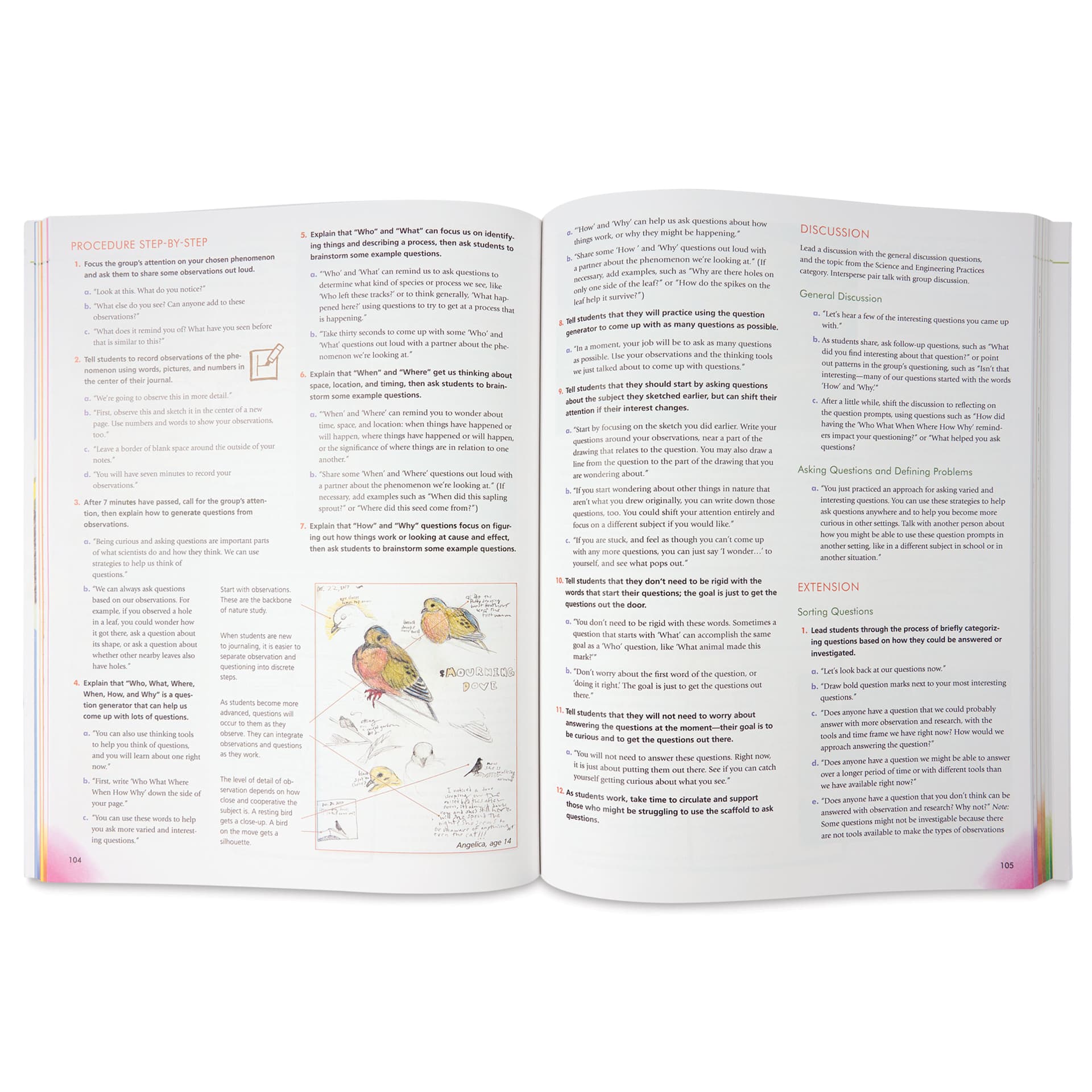 How to Teach Nature Journaling, procedure step by step