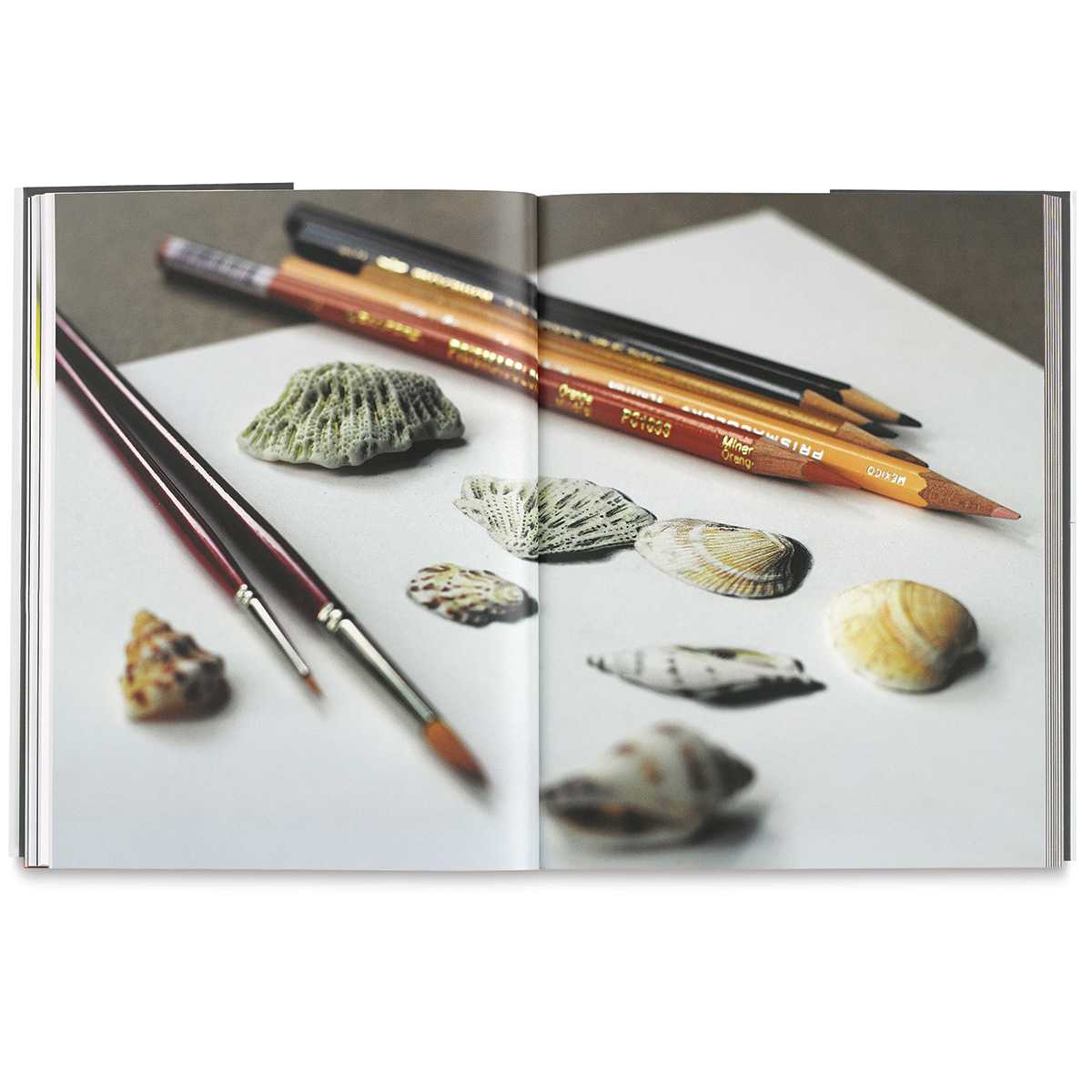 The Realism Challenge - Brushes and pencils shown with seashells
