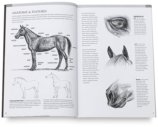 Drawing Made Easy: Horses and Ponies