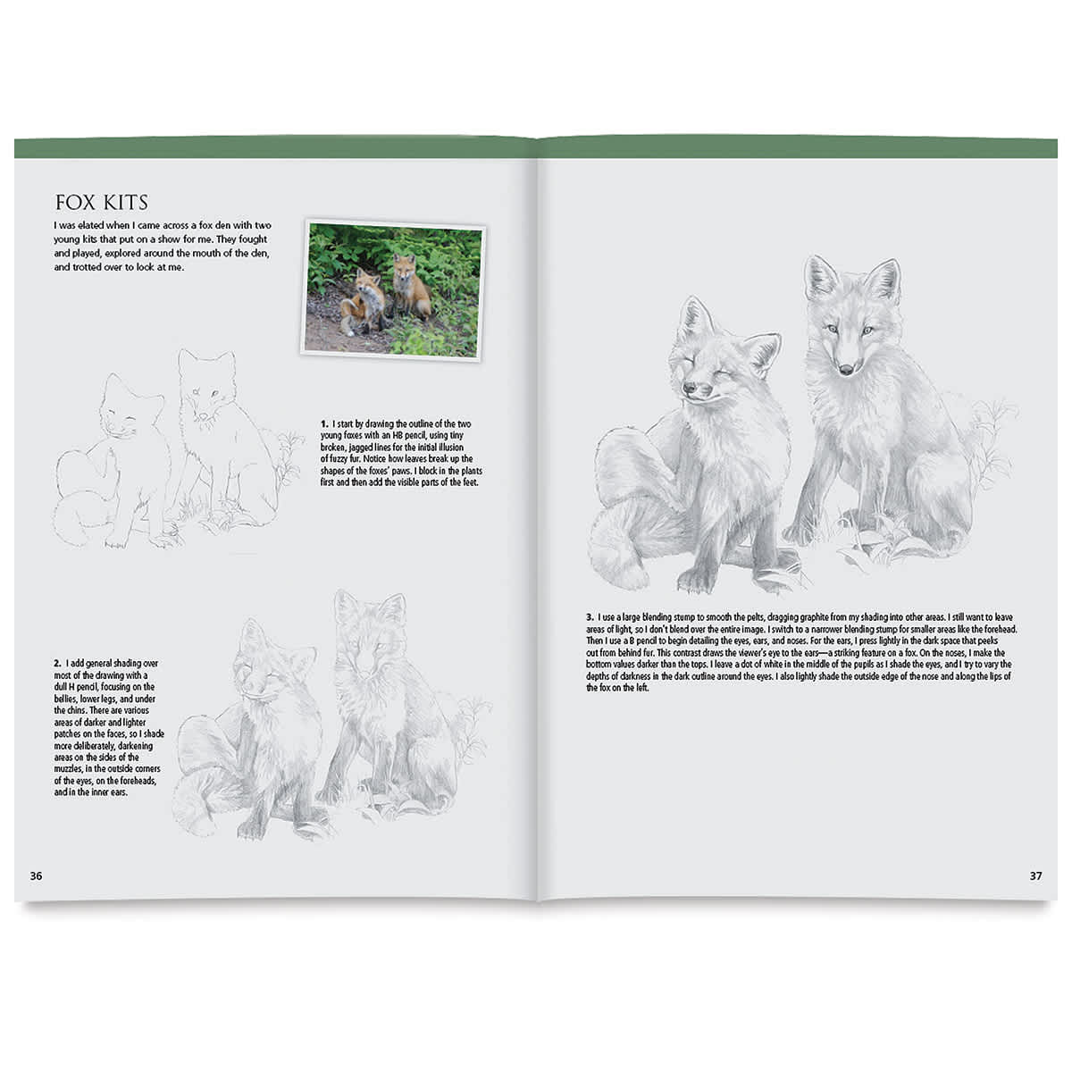 Walter Foster Drawing Made Easy: Forest Animals