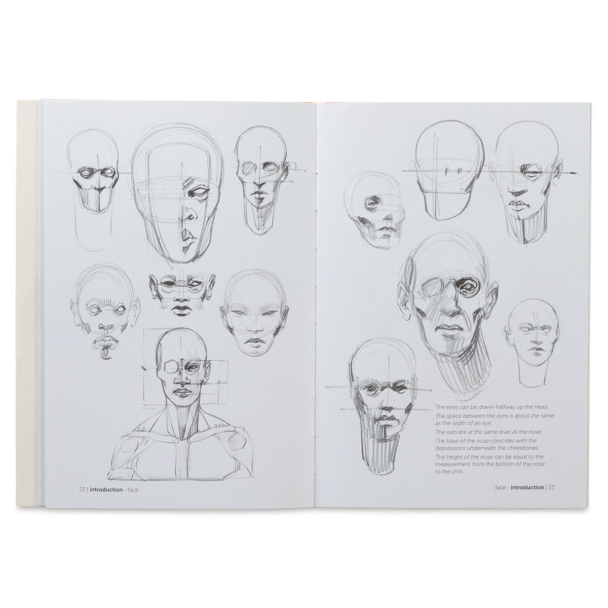 Anatomy for Artists Simplified Forms - Spread of sketched Heads and Faces
