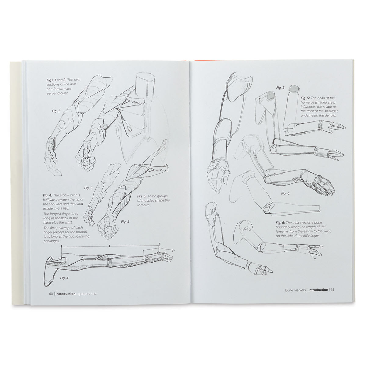 Anatomy for Artists Simplified Forms - Spread of sketched Hands and Arms