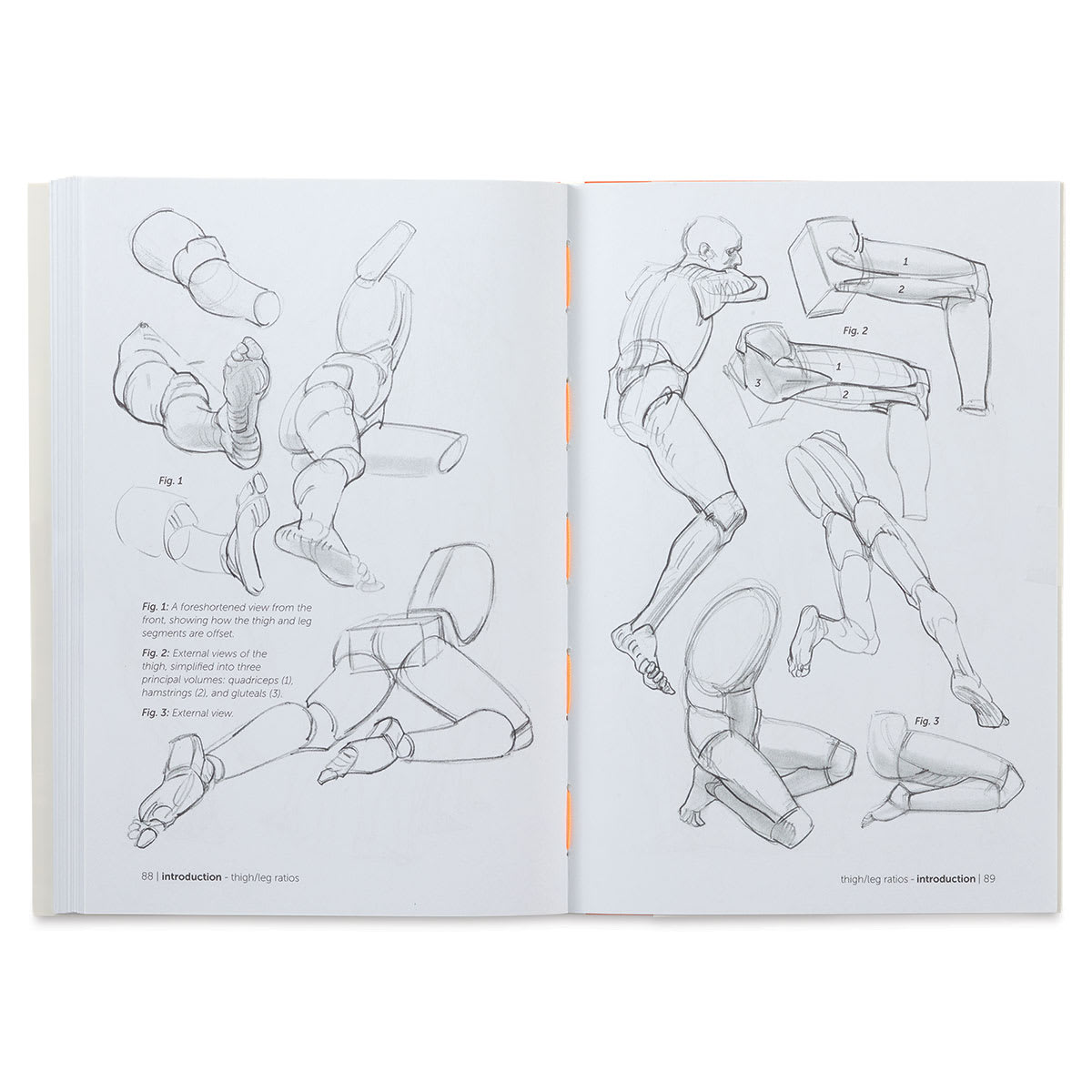 Anatomy for Artists Simplified Forms - Spread of sketched Legs and Feet