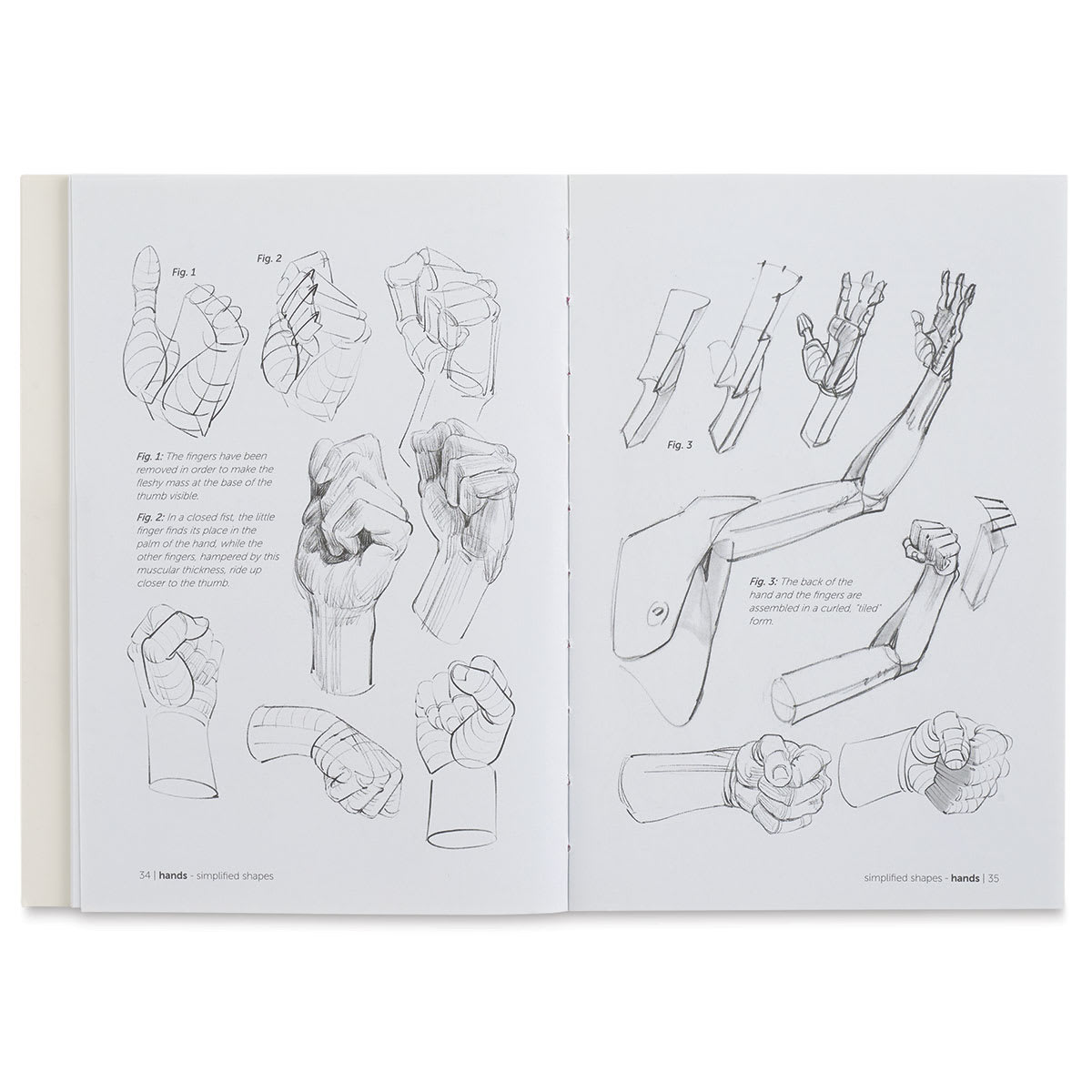 Anatomy for Artists Hands and Feet - Sketches of Fists and Arms

