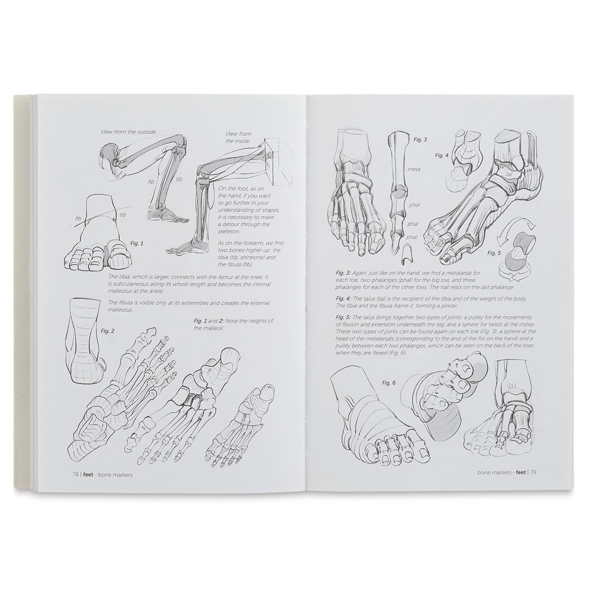 Anatomy for Artists Hands and Feet - Sketches of Feet and Legs
