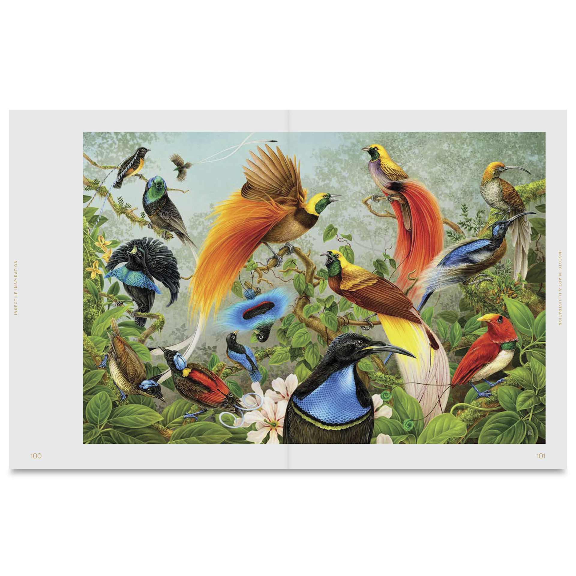 Avian Inspiration: Art & Design Inspired by Wild Nature, bird artwork