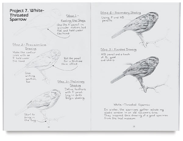 Pencil Drawing - Spread showing Sparrow drawing project