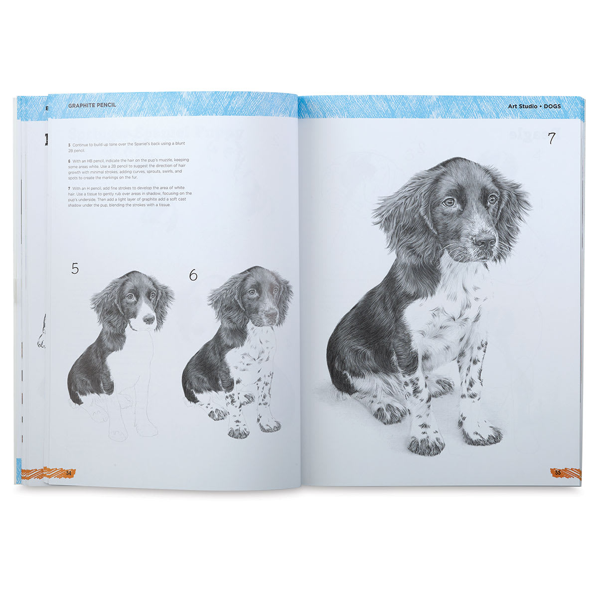 Art Studio: Dogs