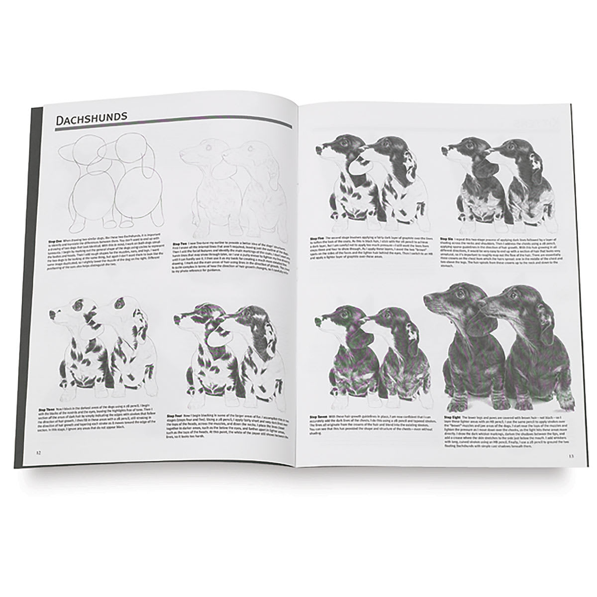 Drawing Dogs & Cats
