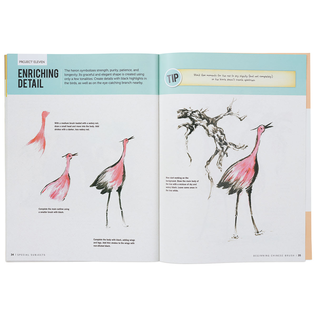 Special Subjects: Beginning Chinese Brush