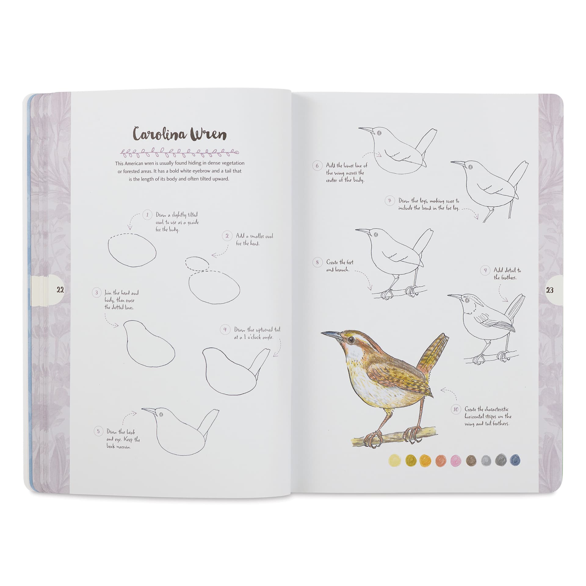 Walter Foster Ten-Step Drawing Book - Nature, Carolina Wren
