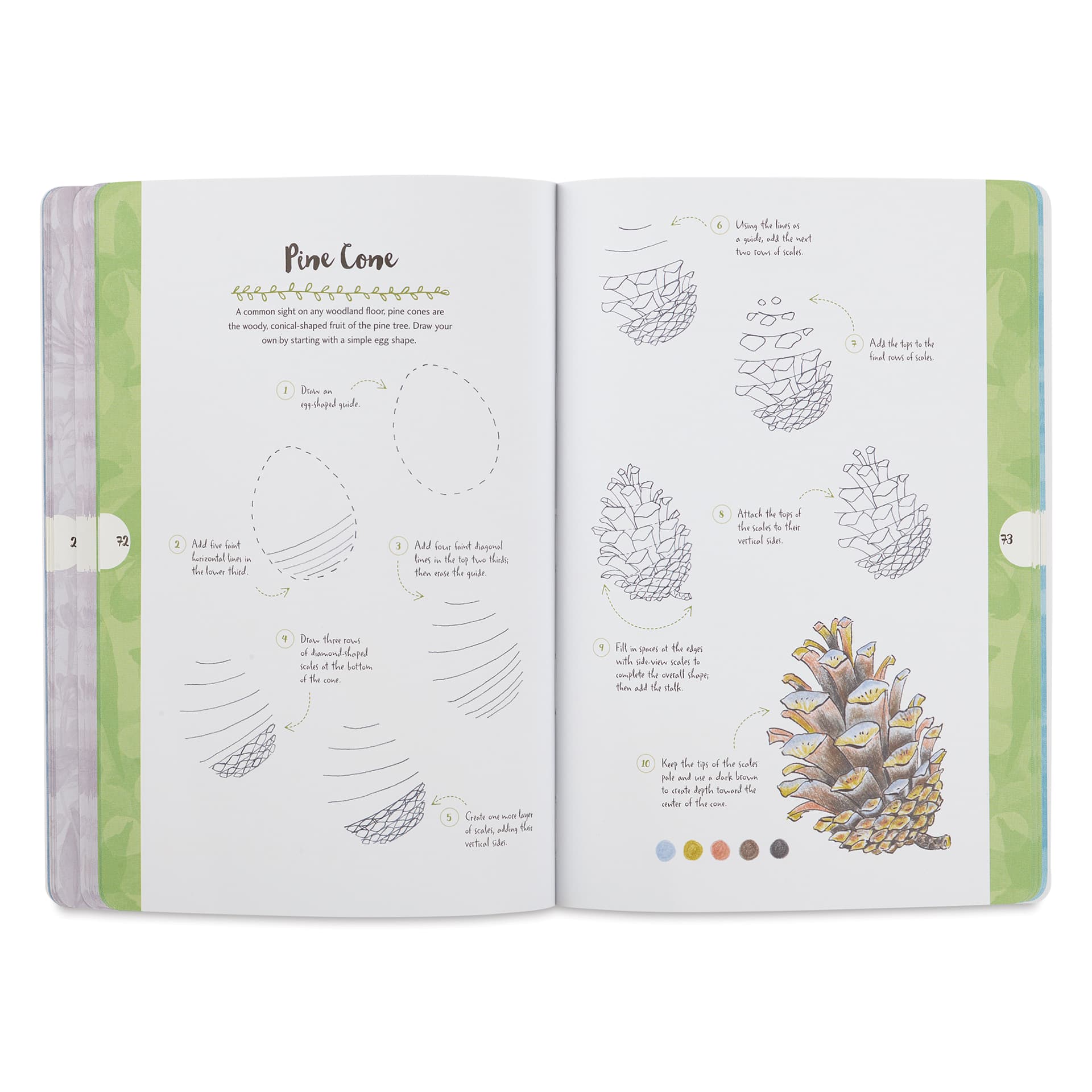 Walter Foster Ten-Step Drawing Book - Nature, Pine Cone