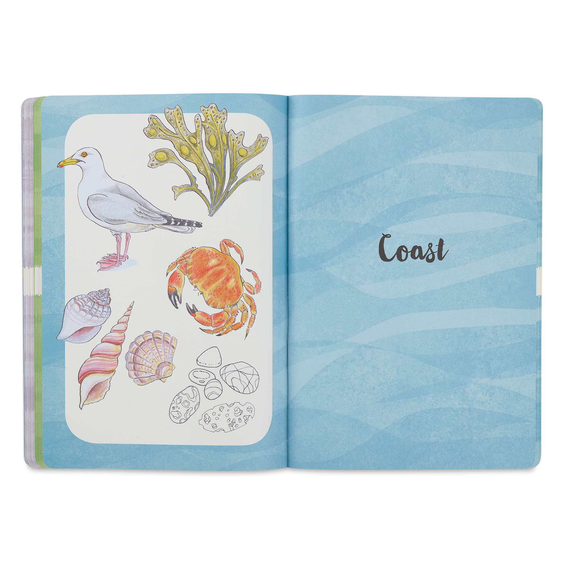 Walter Foster Ten-Step Drawing Book - Nature, Coast