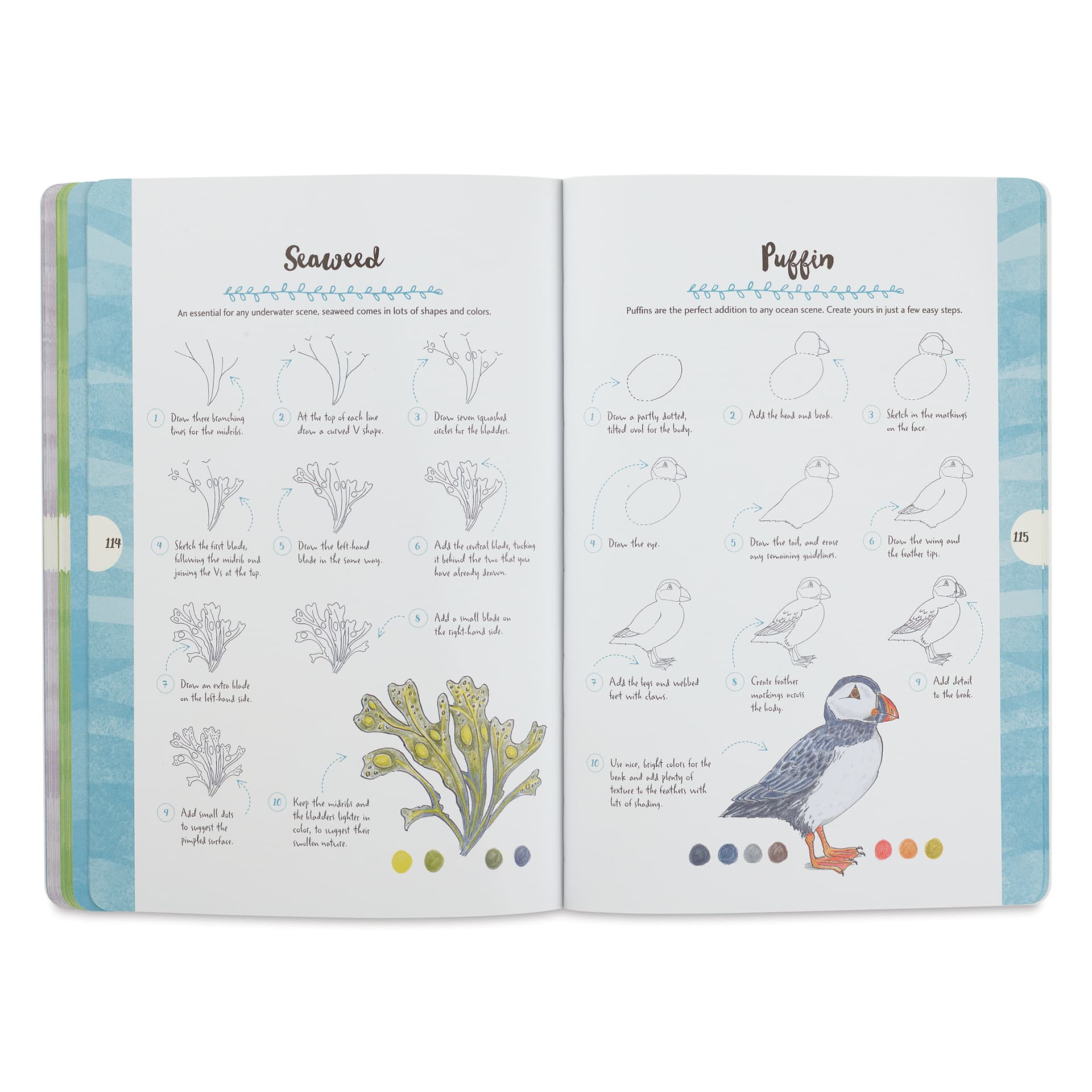 Walter Foster Ten-Step Drawing Book - Nature, Seaweed & Puffin