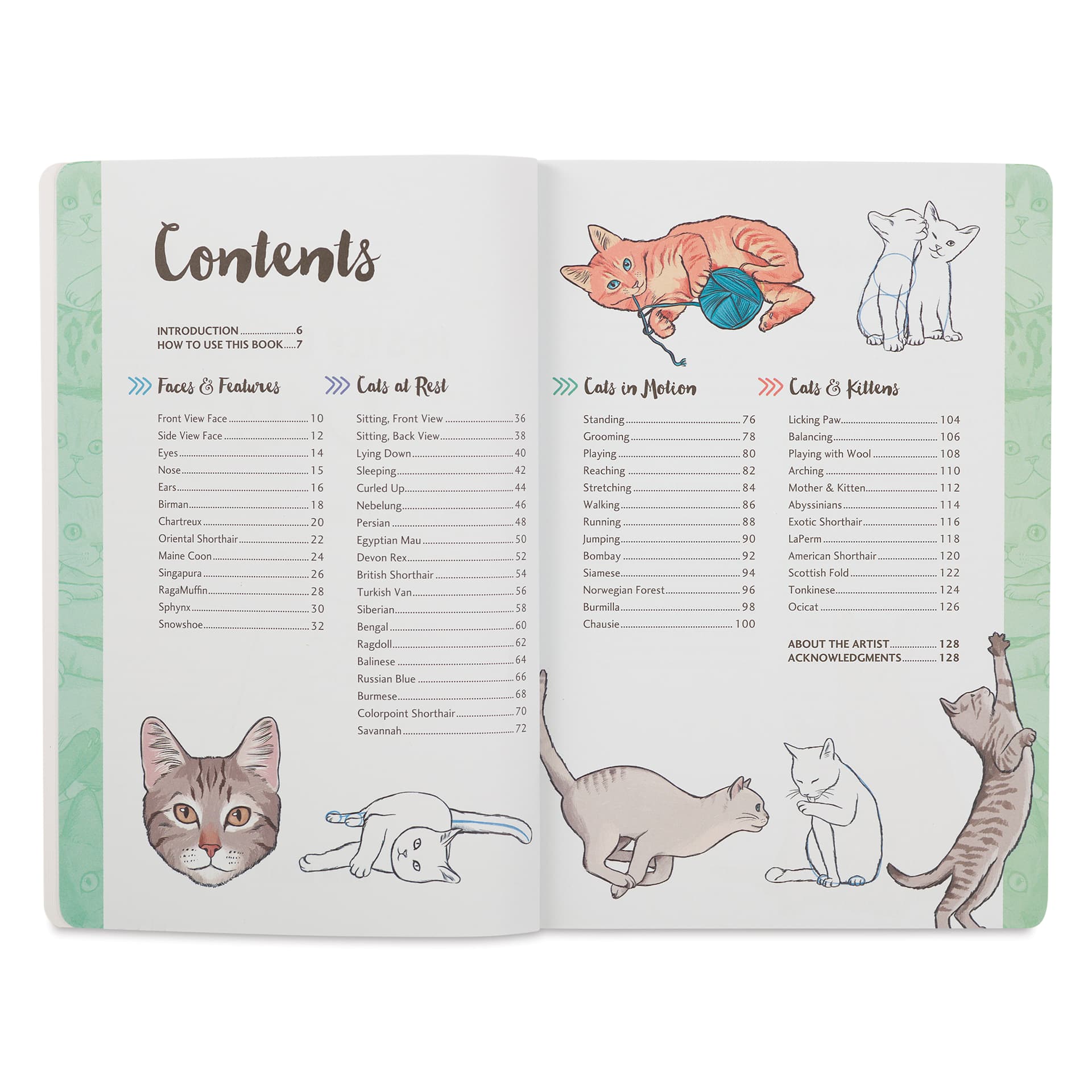 Walter Foster Ten-Step Drawing Book - Cats, table of contents