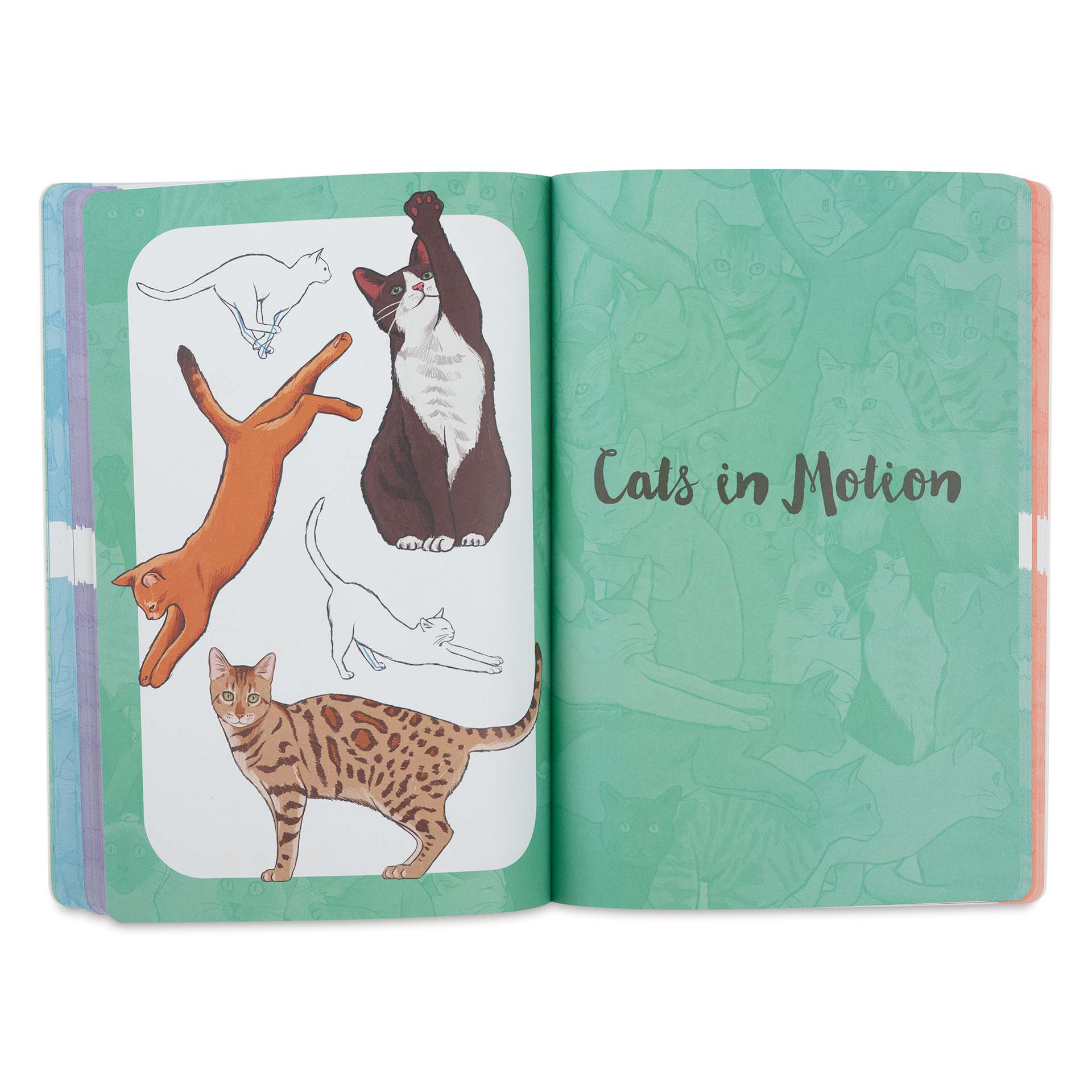 Walter Foster Ten-Step Drawing Book - Cats, Cats in motion