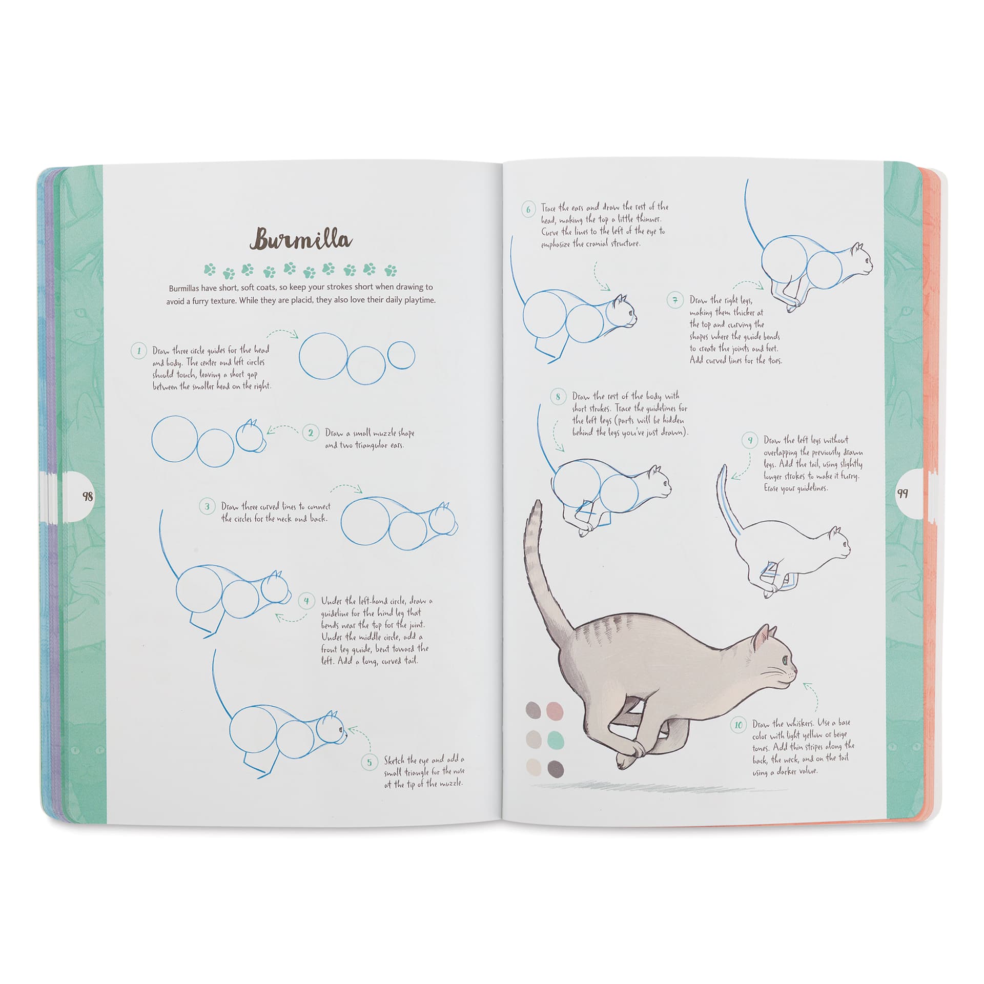 Walter Foster Ten-Step Drawing Book - Cats, Burmilla
