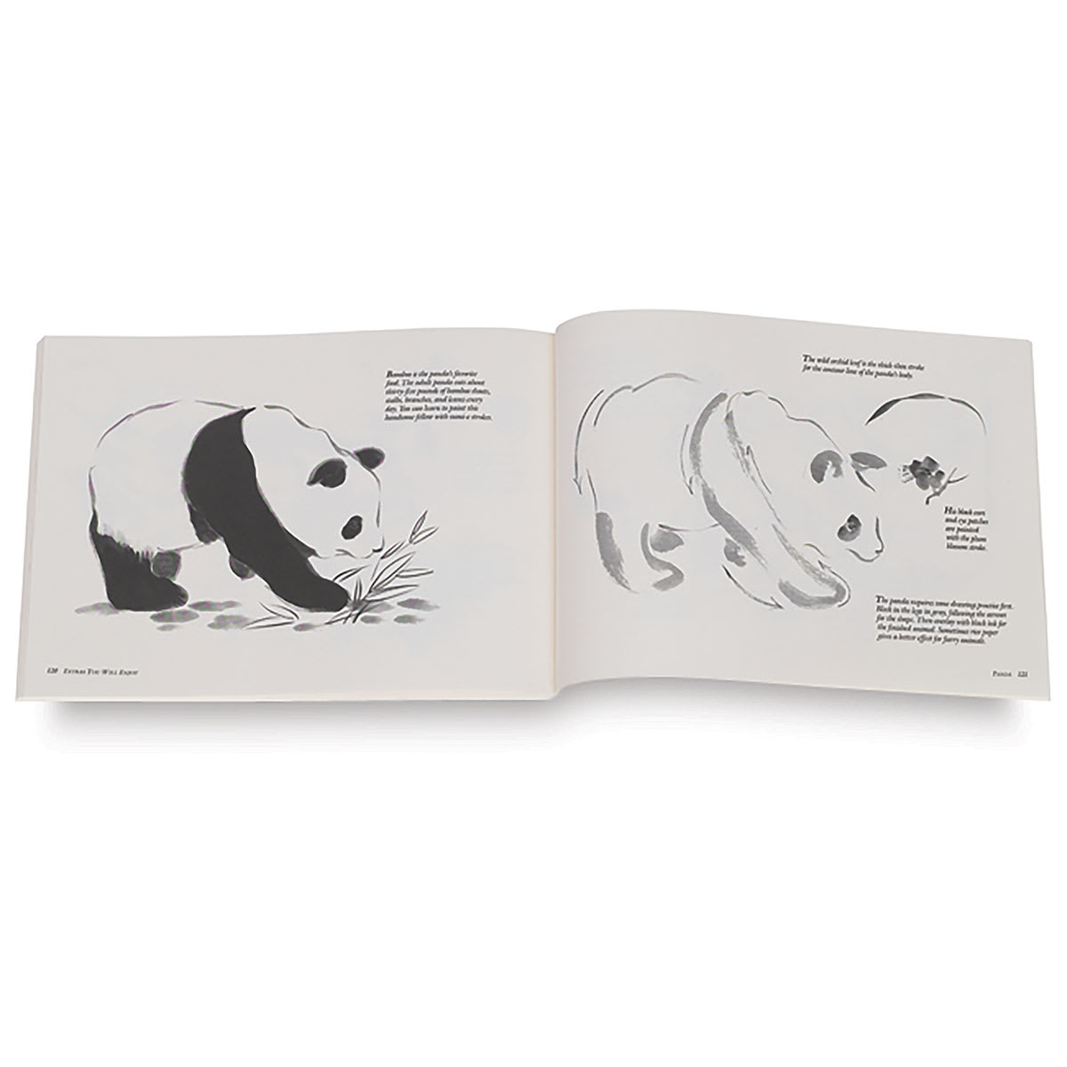 The Sumi-E Book
