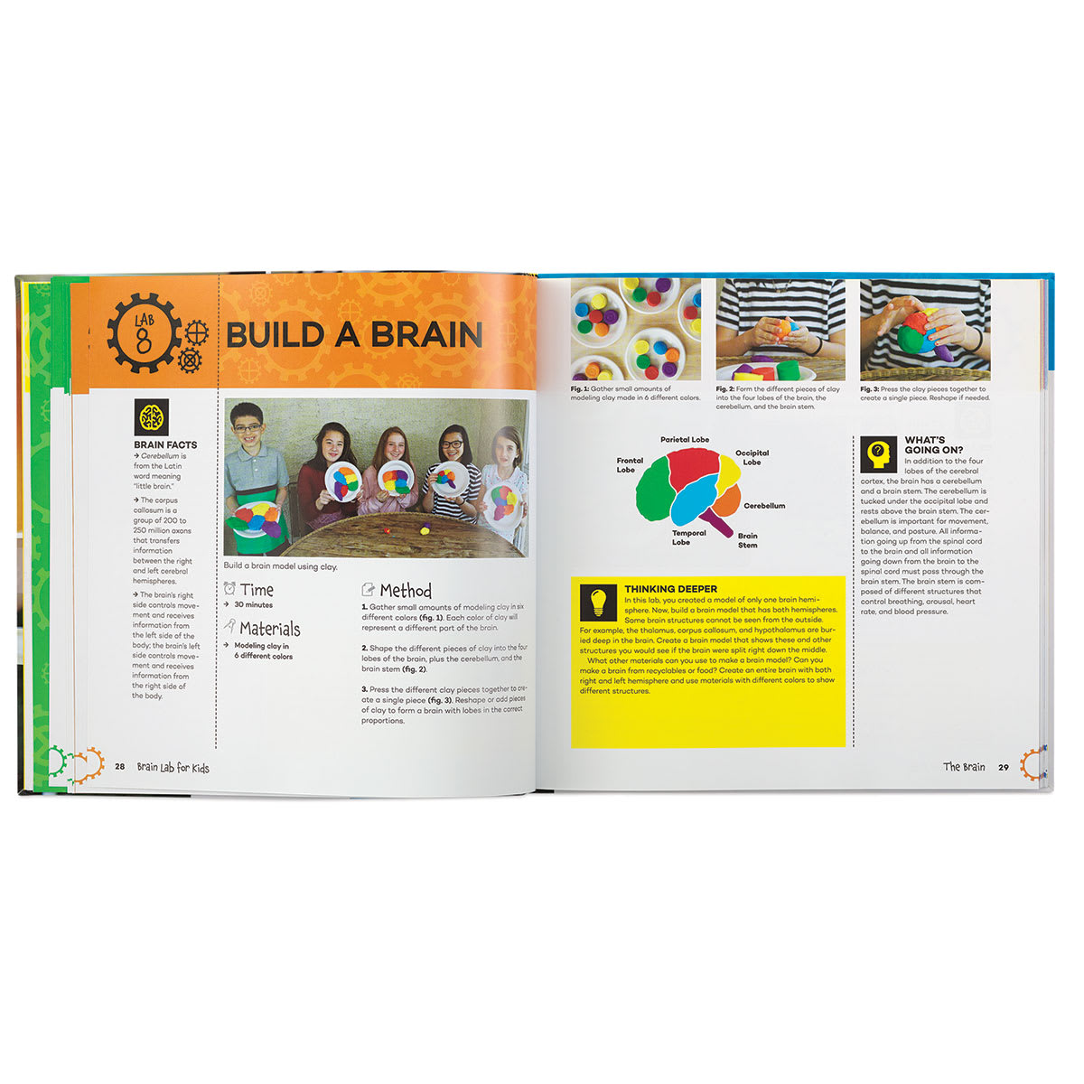 Brain Lab for Kids
