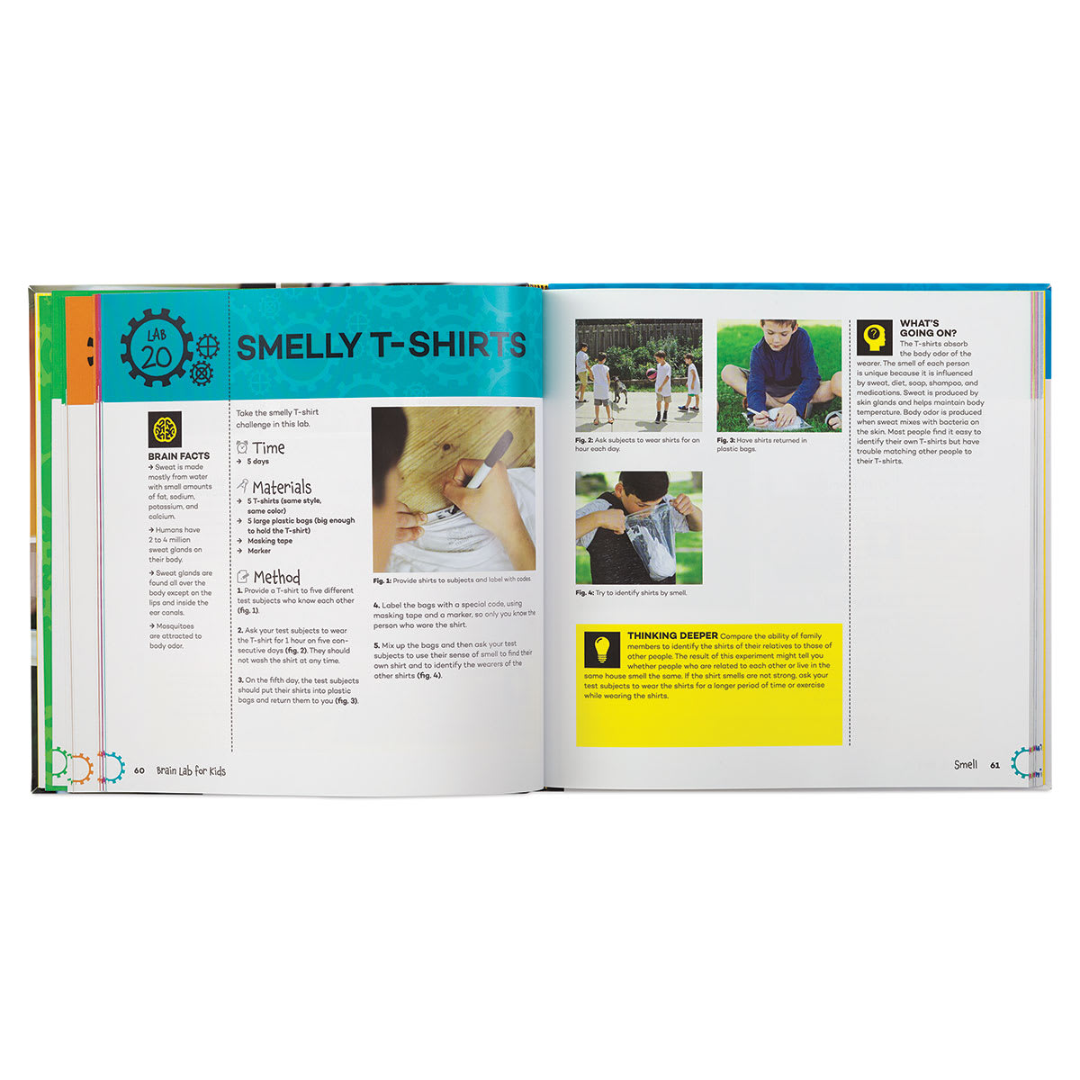 Brain Lab for Kids
