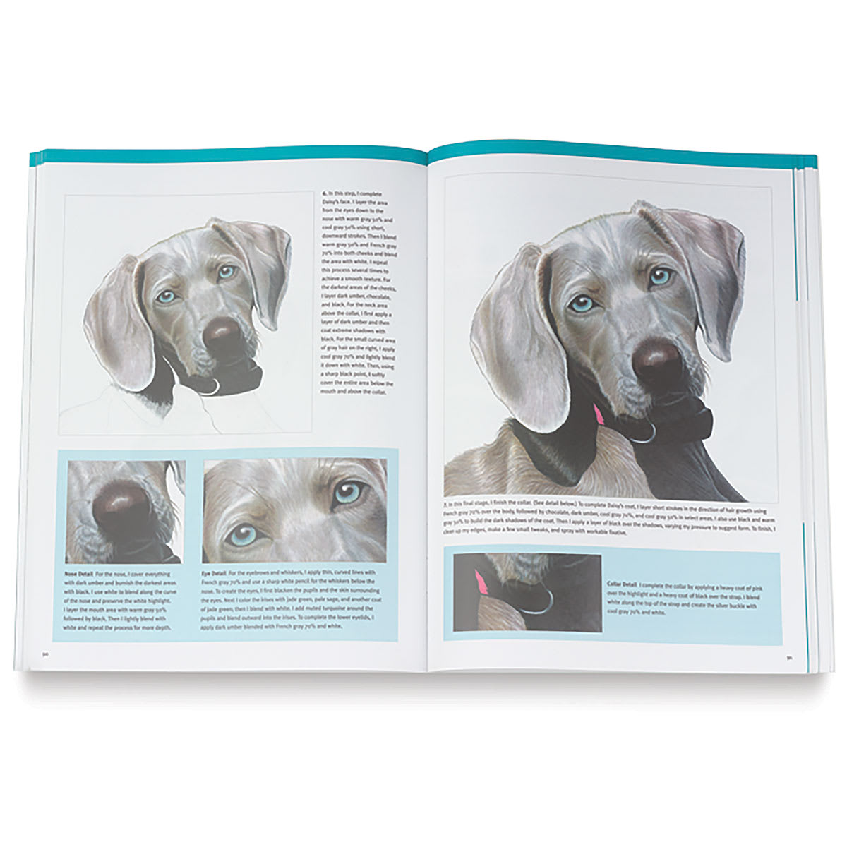 The Art of Colored Pencil Drawing - Inside spread on drawing dogs
